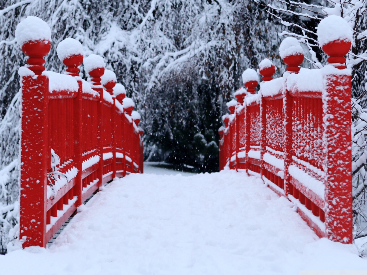 Red Japanese Bridge Winter Ultra HD Desktop Background Wallpaper for 4K UHD TV, Tablet