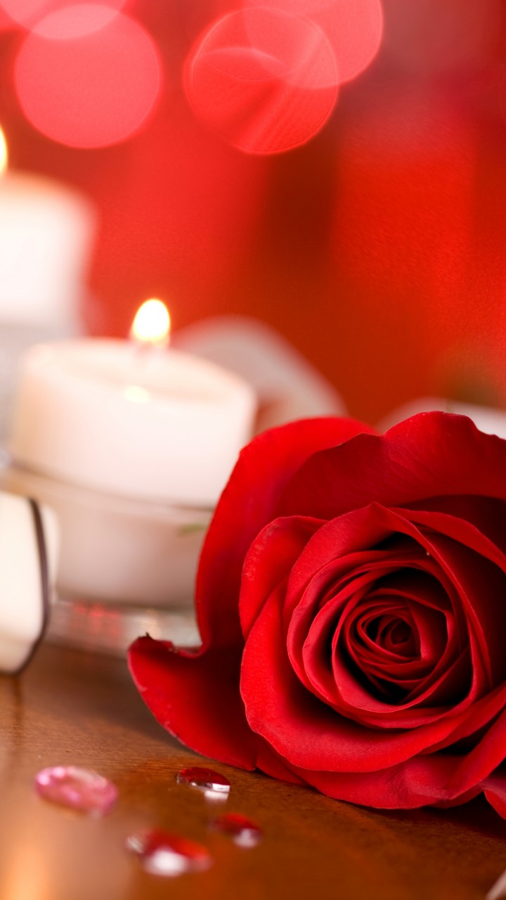 Wallpaper Valentine's Day, rose, candle, ribbon, romantic, love, Holidays
