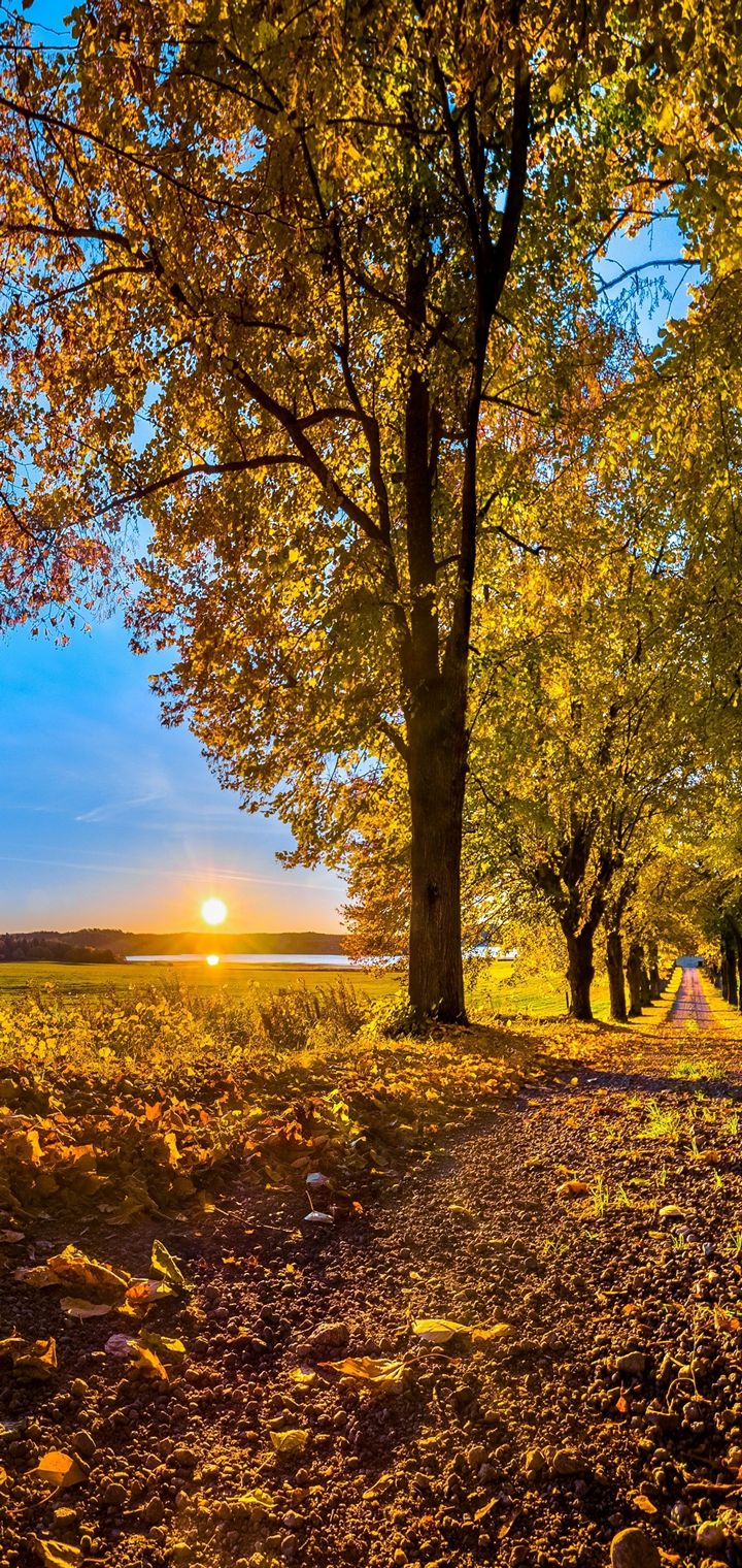 AUTUMN Fall Landscape Nature Wallpaper - [720x1520]