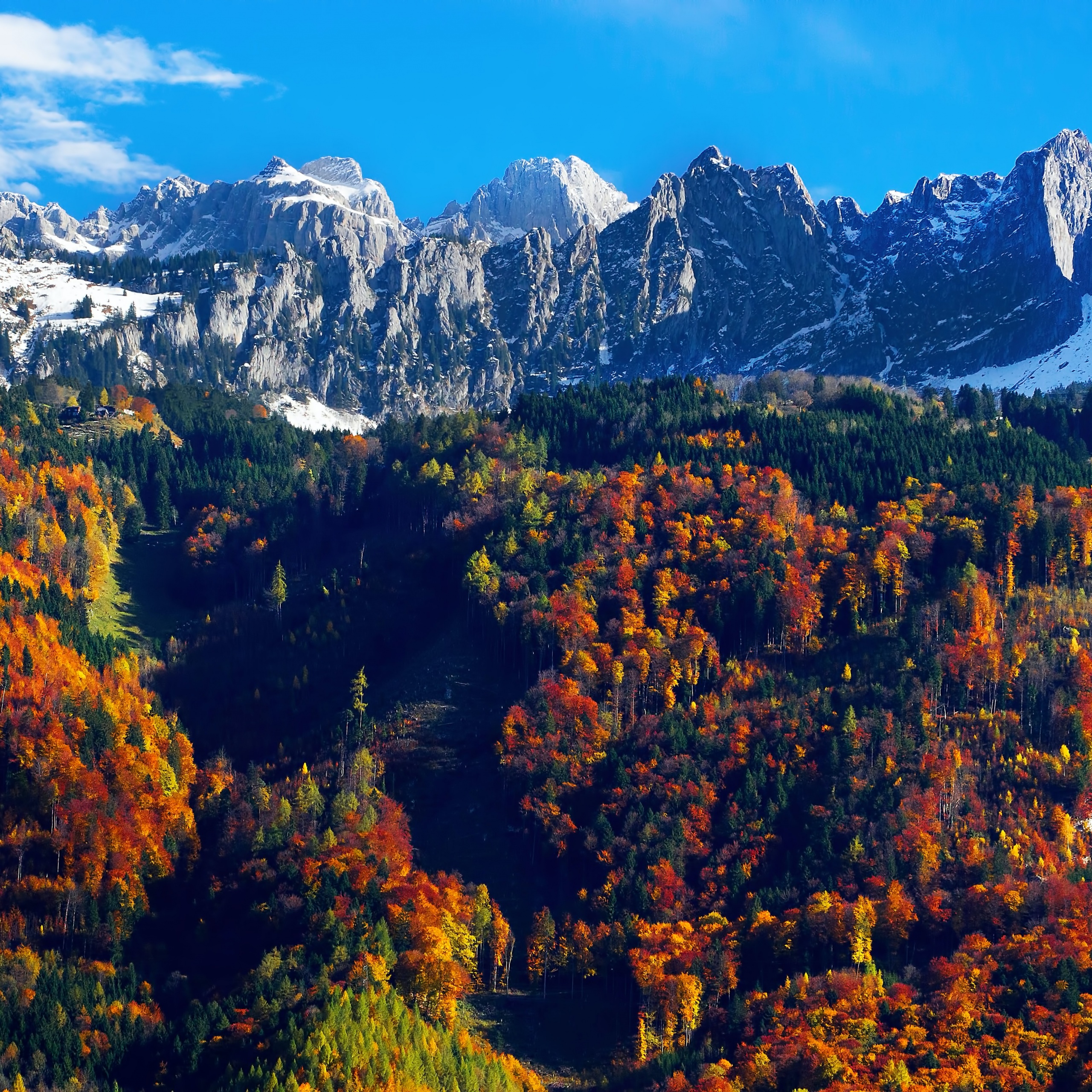 Autumn trees Wallpaper 4K, Snow mountains, Blue Sky, Glacier, Landscape, Nature