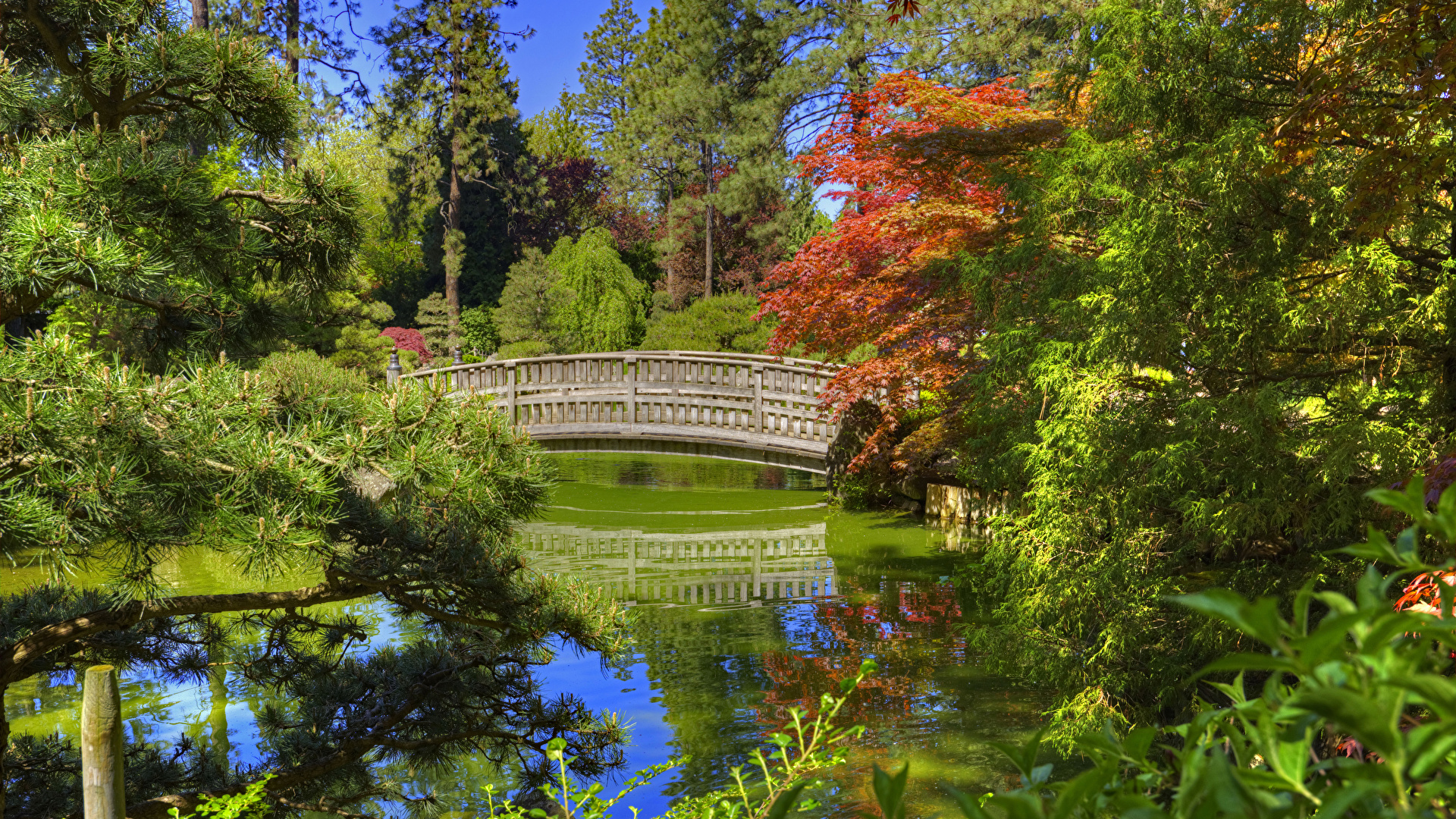 Picture Washington USA Spokane Japanese Garden bridge 1920x1080