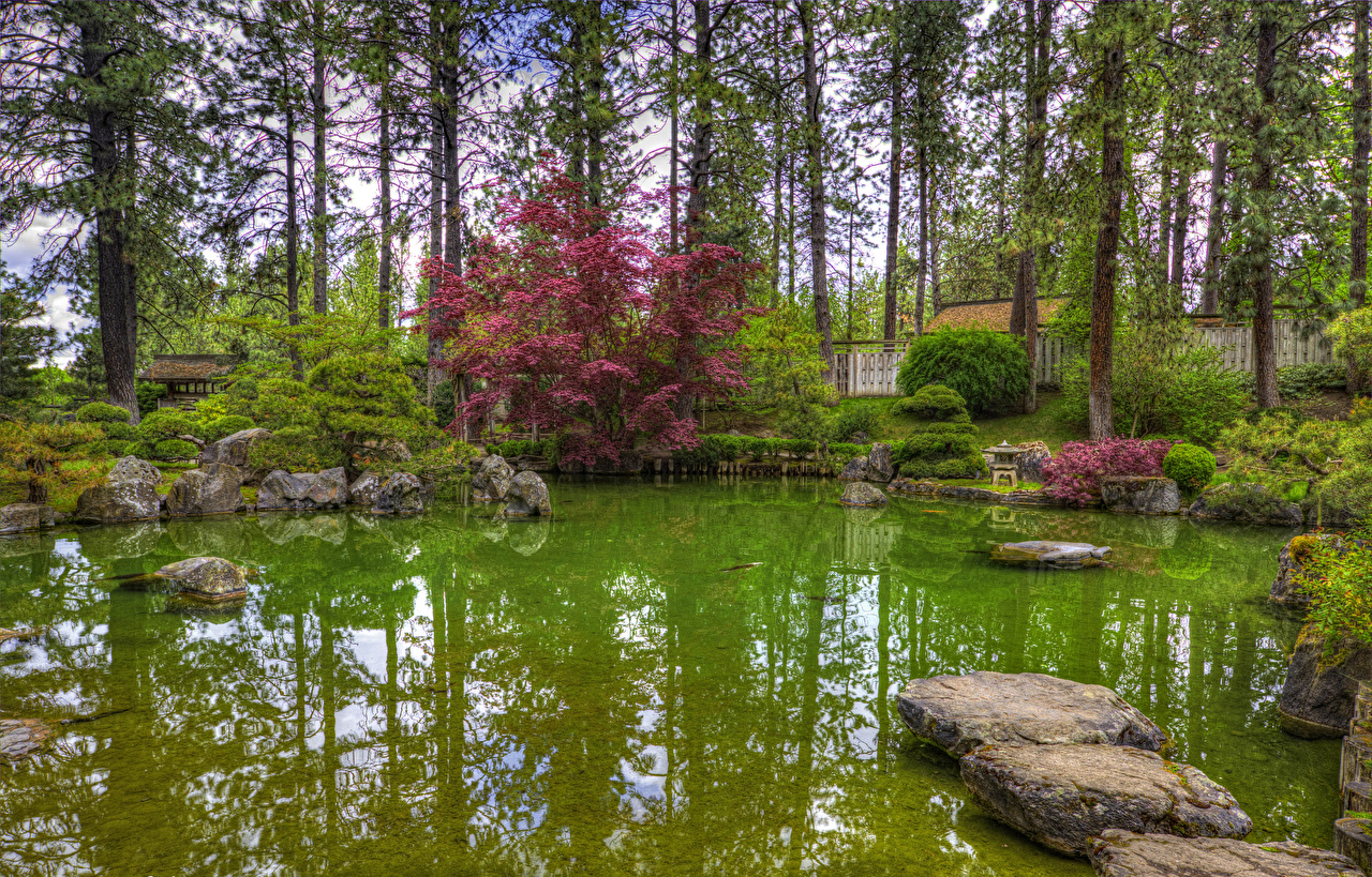 Desktop Wallpaper Washington USA Spokane Japanese Garden Nature