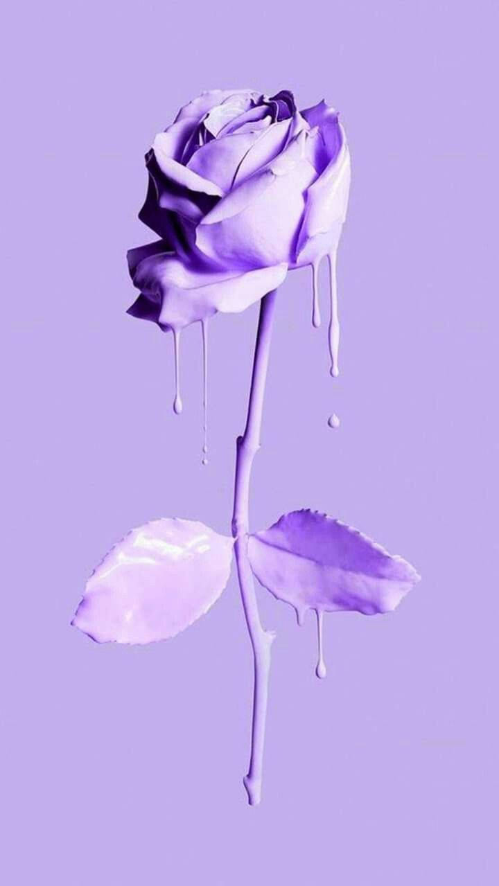Download Minimalist Purple Rose Drip Art Wallpaper