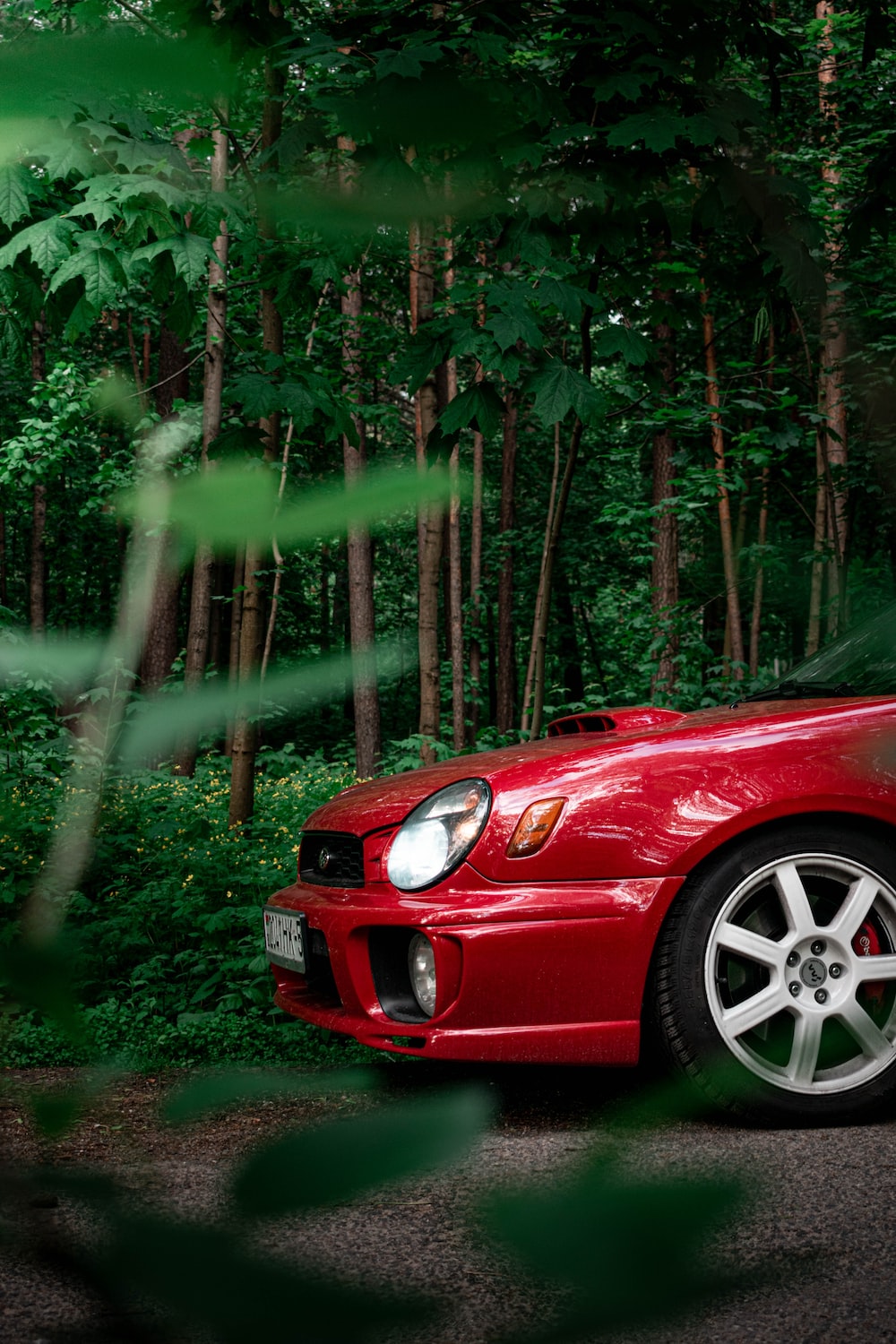 30,Car In Forest Picture. Download Free Image