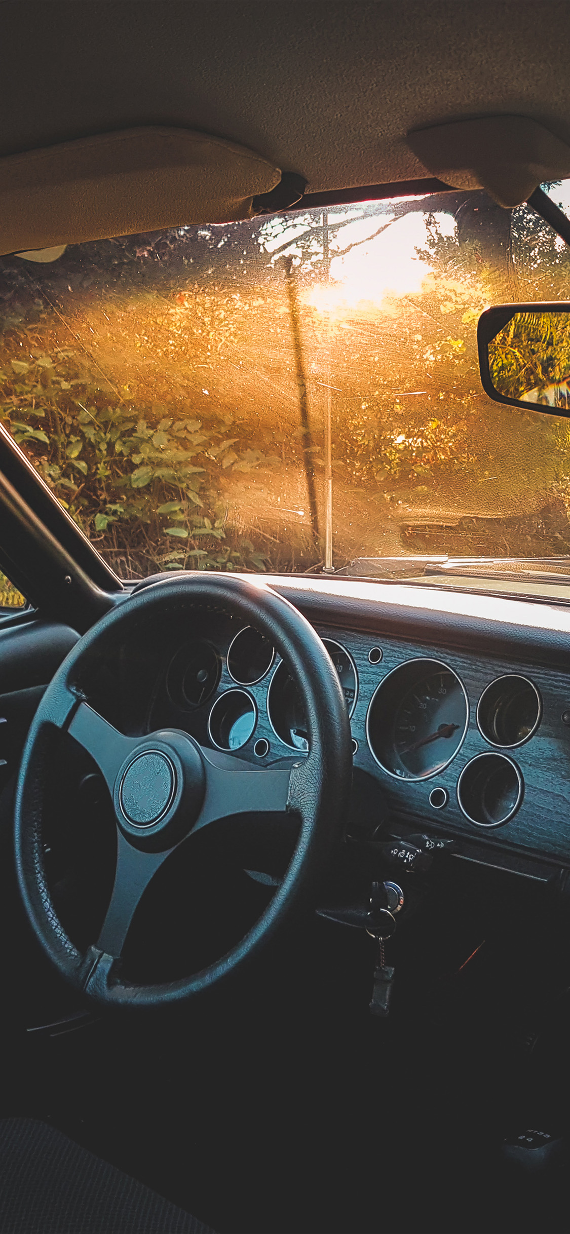 car drive forest light nature