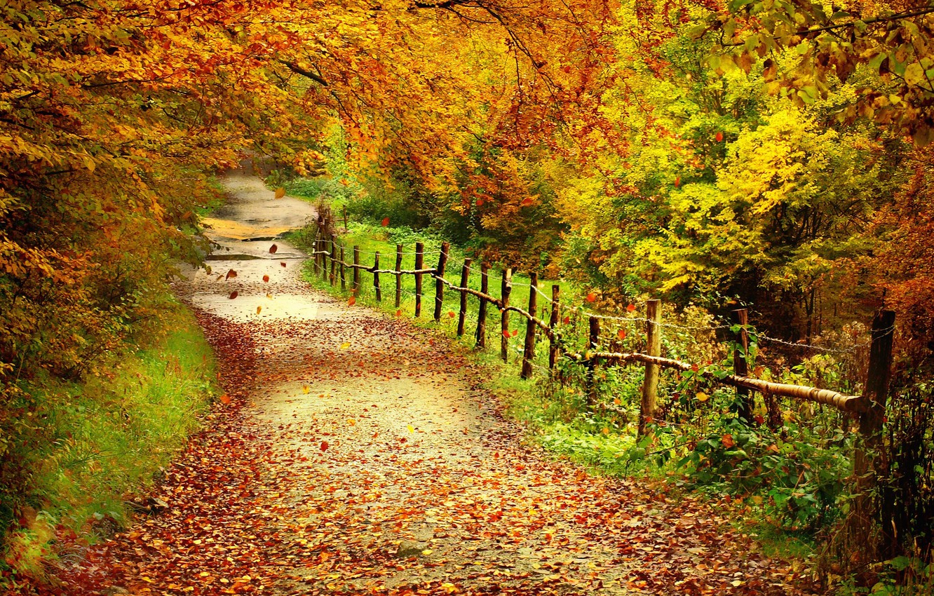 Autumn Path Wallpapers - Wallpaper Cave