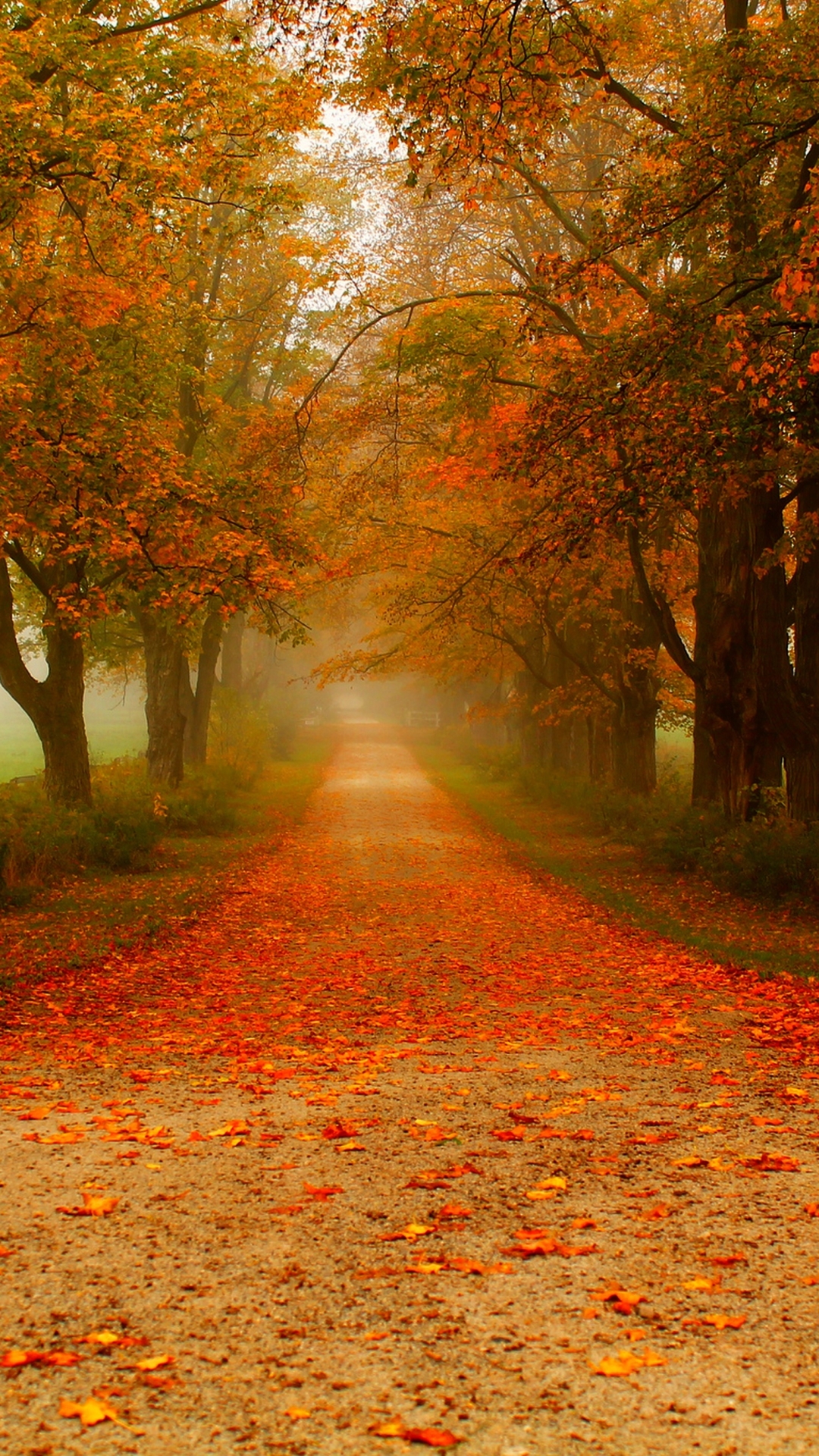 Autumn Path Wallpapers - Wallpaper Cave