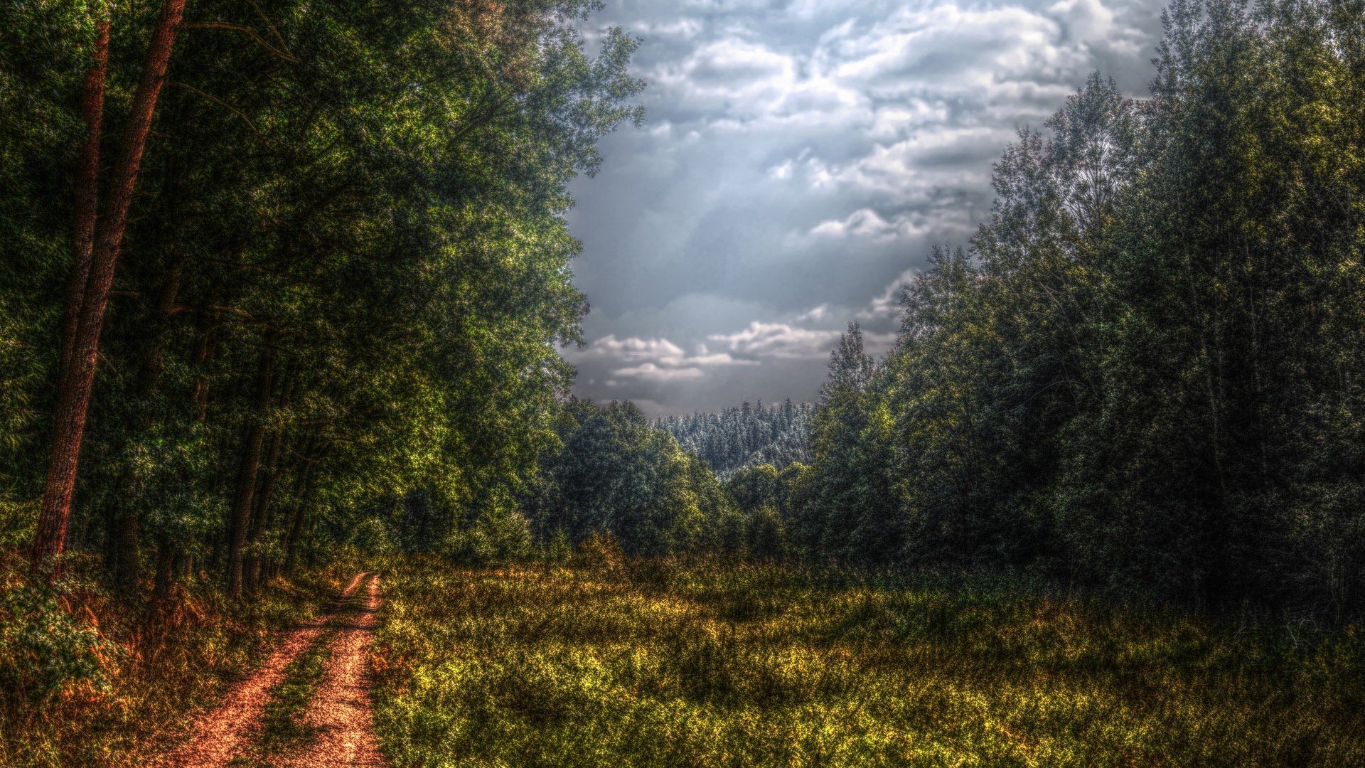 Forest, road, country, cloudy, clouds, glade, colors, gloomy. picture, photo, desktop wallpaper