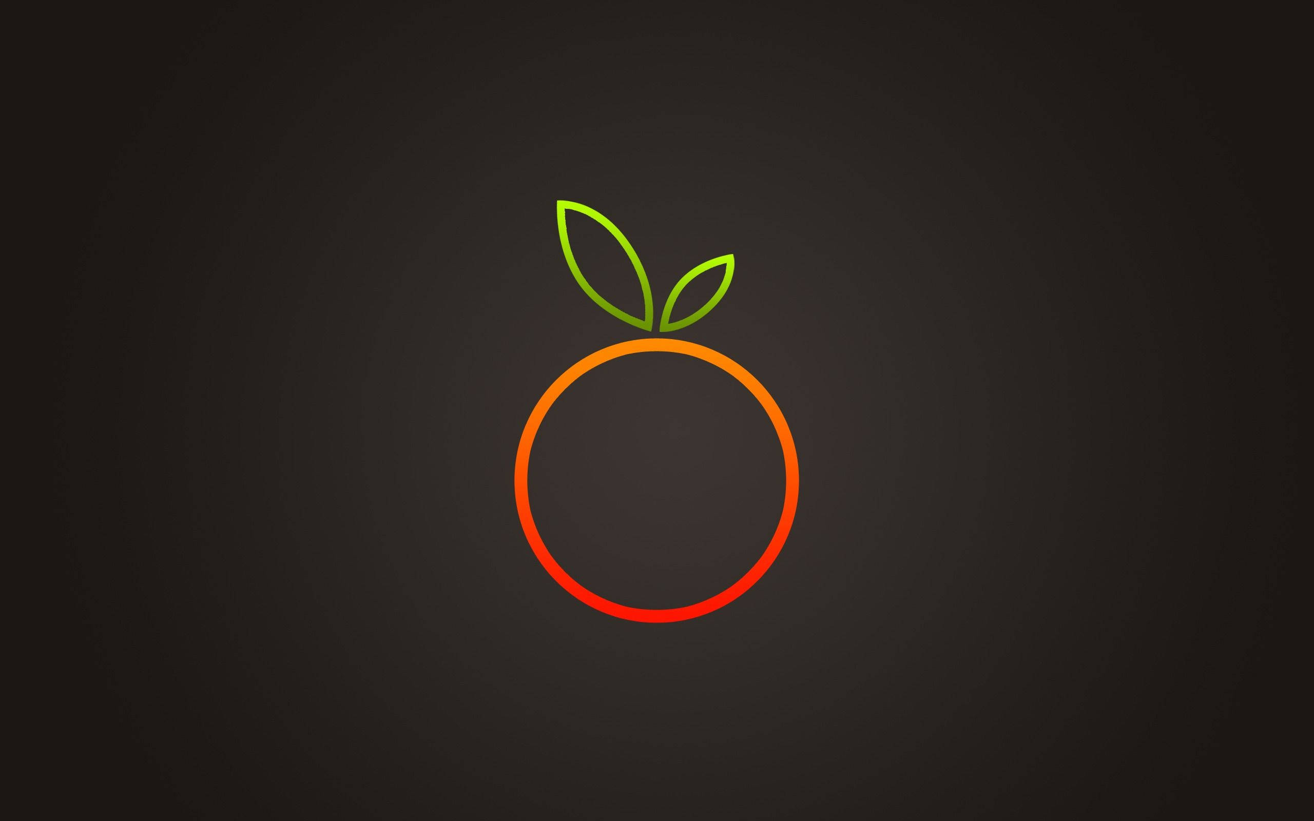 Download Orange Circle Outline Wallpaper