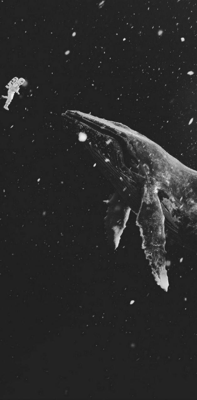 Space Whale wallpaper