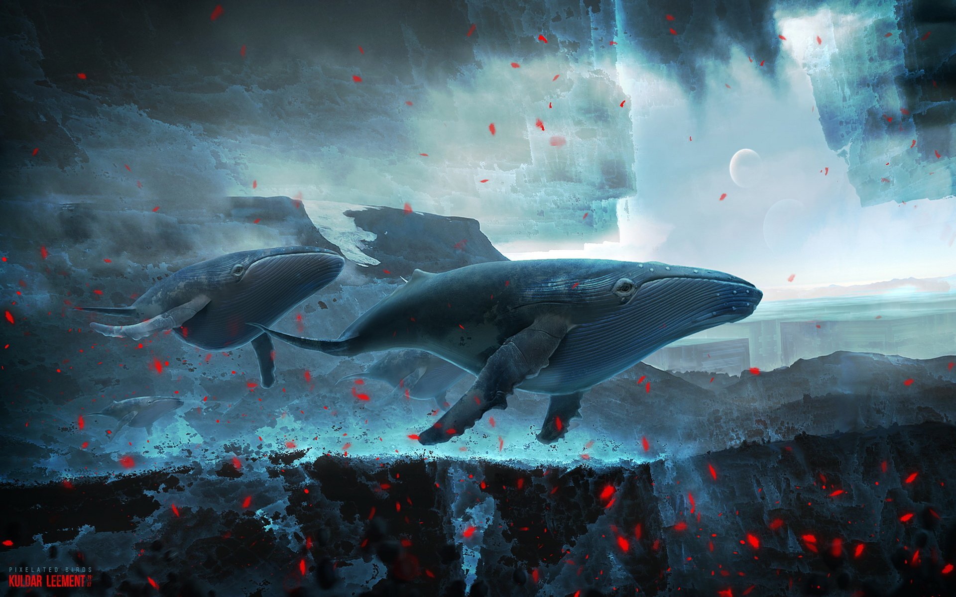 Fantasy Whale HD Wallpaper