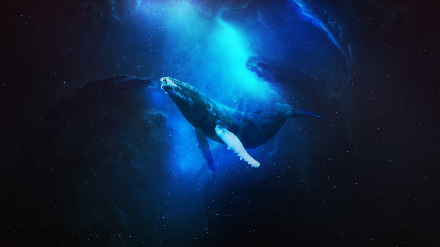 whale, sea, artwork, space Gallery HD Wallpaper