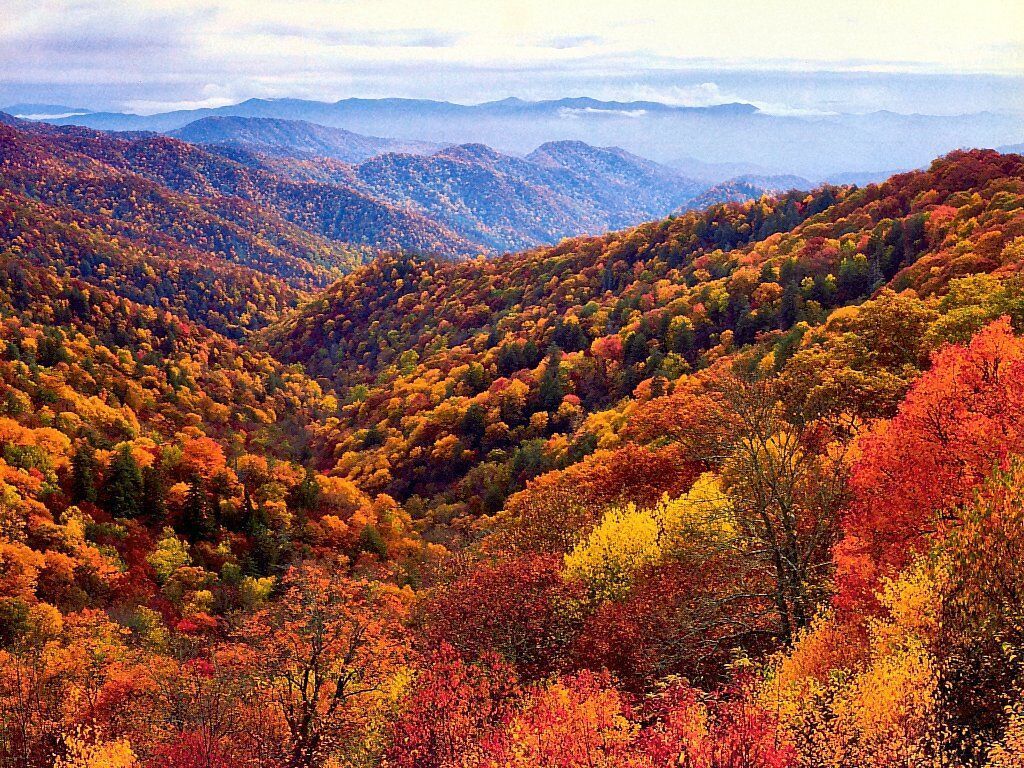 Smoky Mountain Autumn Desktop Wallpaper