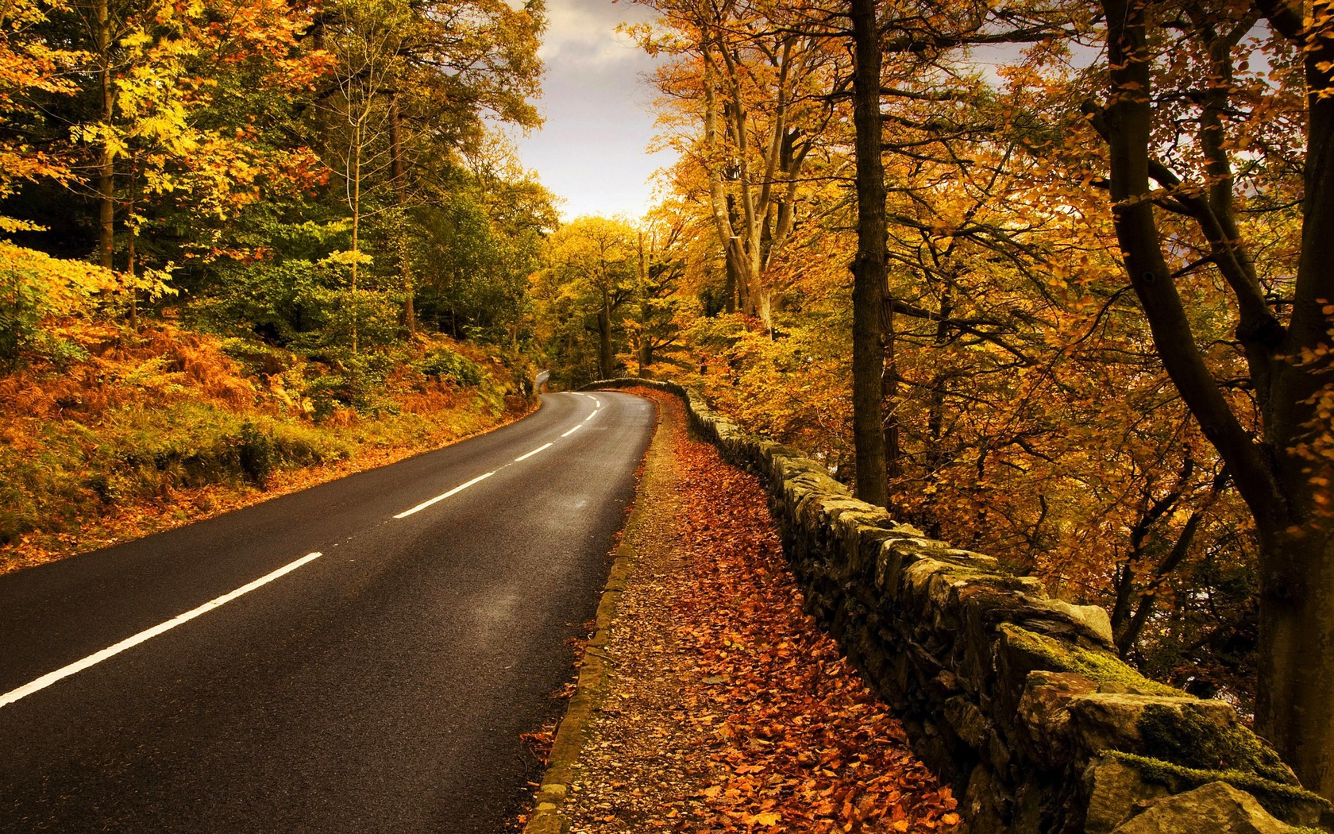 Autumn time. Watch free widescreen background beautiful scenery for your desktop
