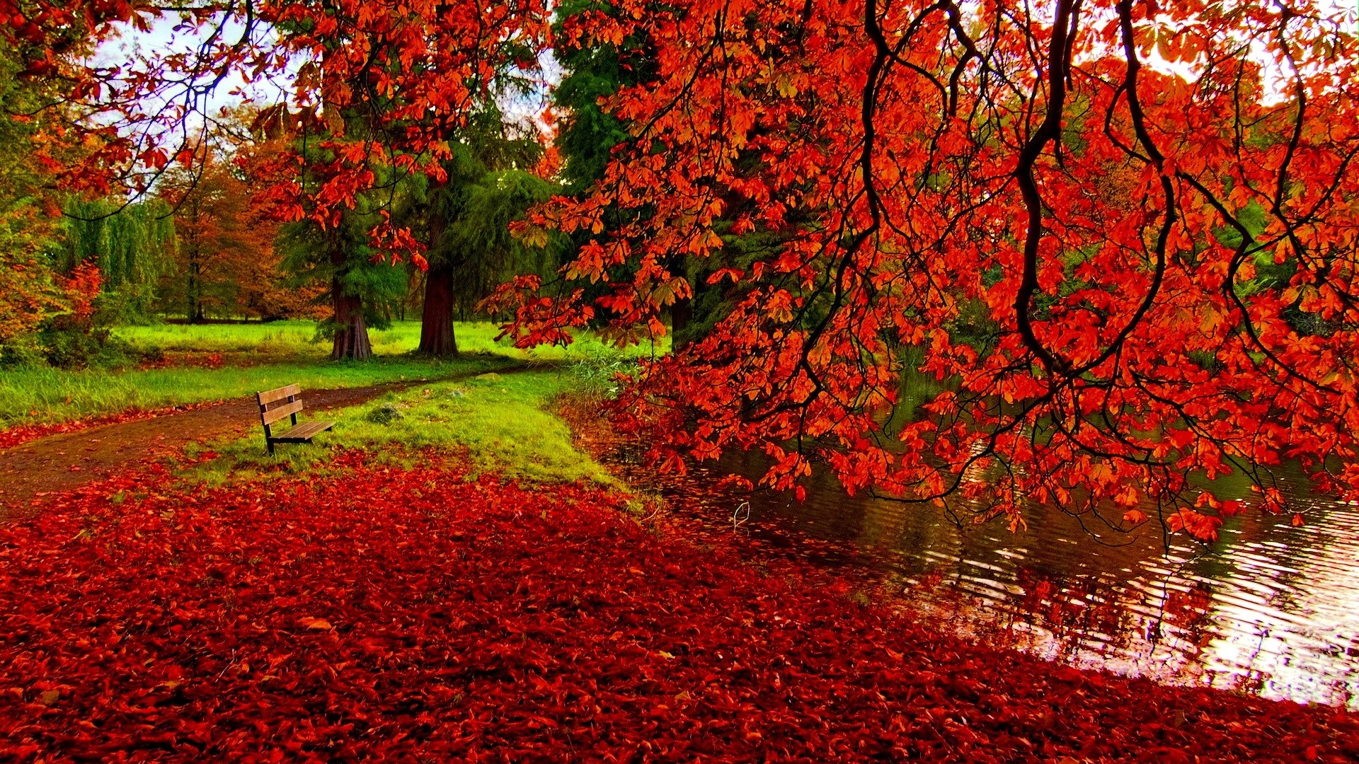 Fall Background Free Download