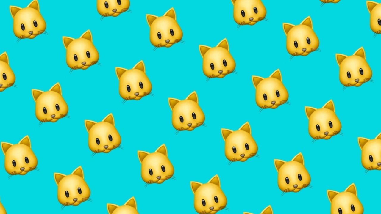 Cat Emoji Wallpapers  Wallpaper Cave