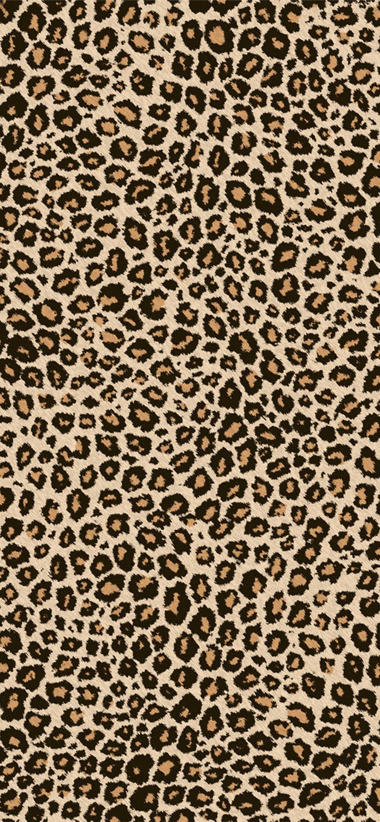 Best Leopards iPhone HD Wallpaper