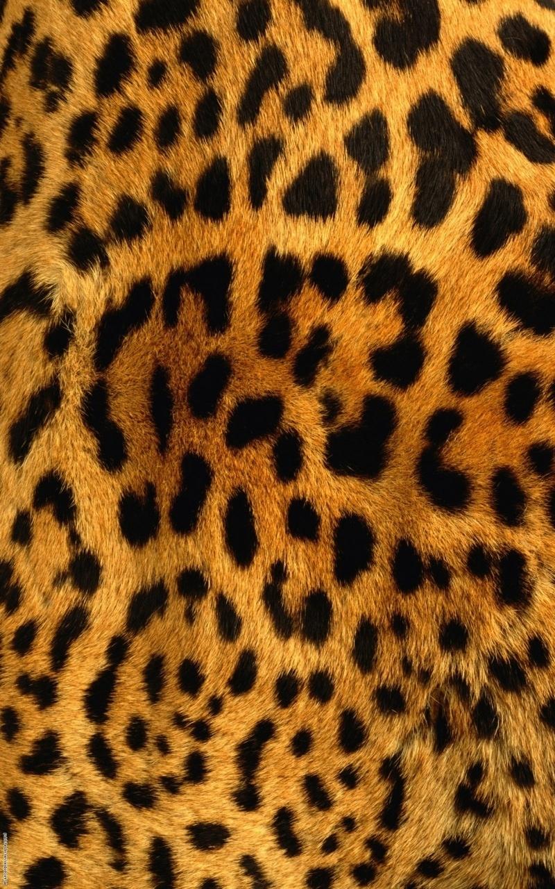 Леопардовые принты