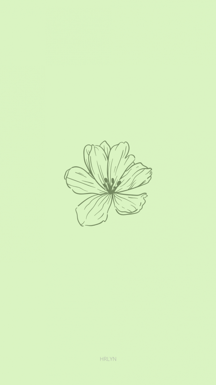 Free download wallpaper flower green minimalist Mint green wallpaper Sage [1000x1500] for your Desktop, Mobile & Tablet. Explore Green Minimalist Aesthetic Wallpaper. Minimalist Aesthetic Wallpaper, Wallpaper Aesthetic Green, Aesthetic