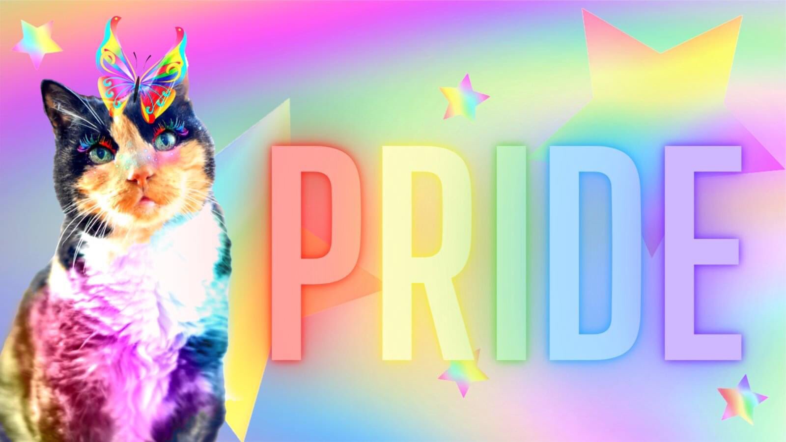 Cat Care Society #Pride Month! We are participating in Denver's Pride Festival all month long