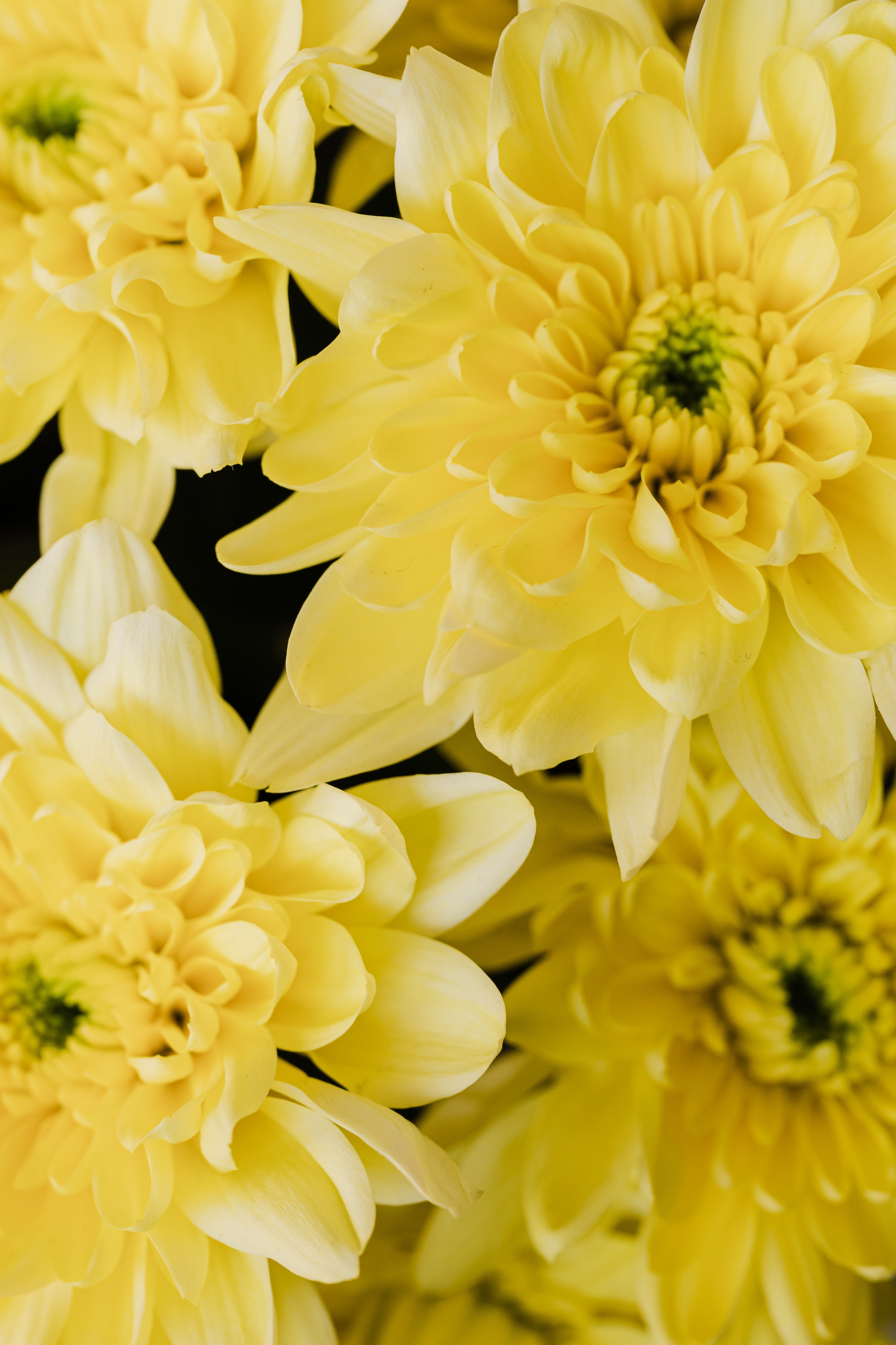 Yellow Background Photo, Download Free Yellow Background & HD Image
