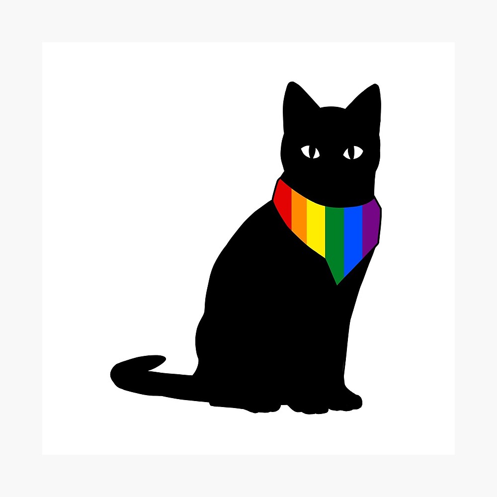 Gay Pride Cat Photographic Print
