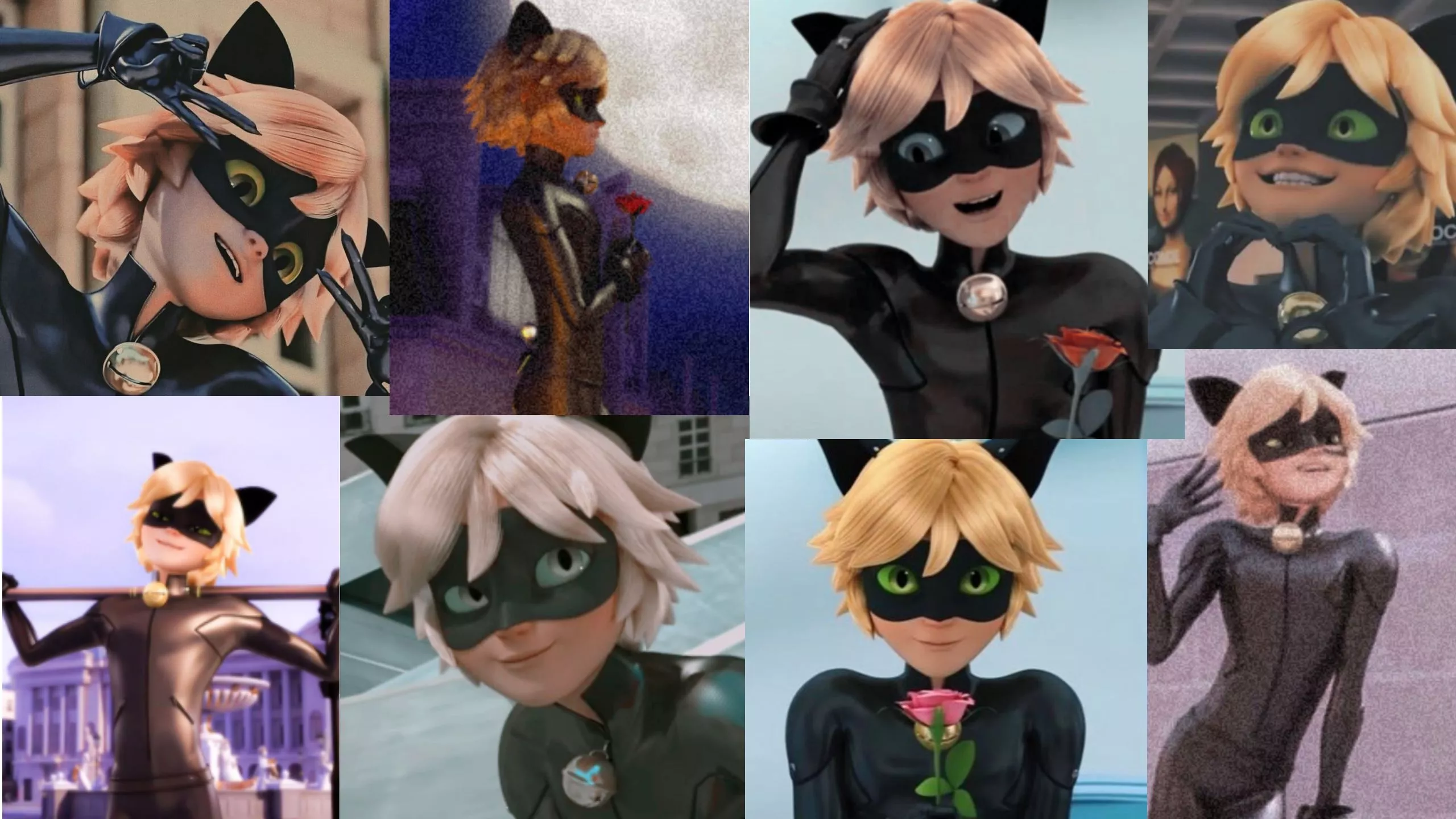 Chat Noir Wallpaper Collage