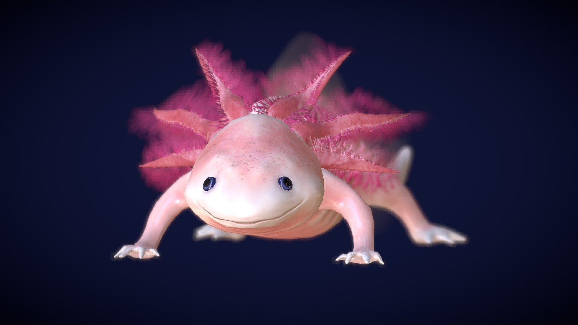 Axolotl Royalty Free 3D model by Karolina Renkiewicz [d1242a7]