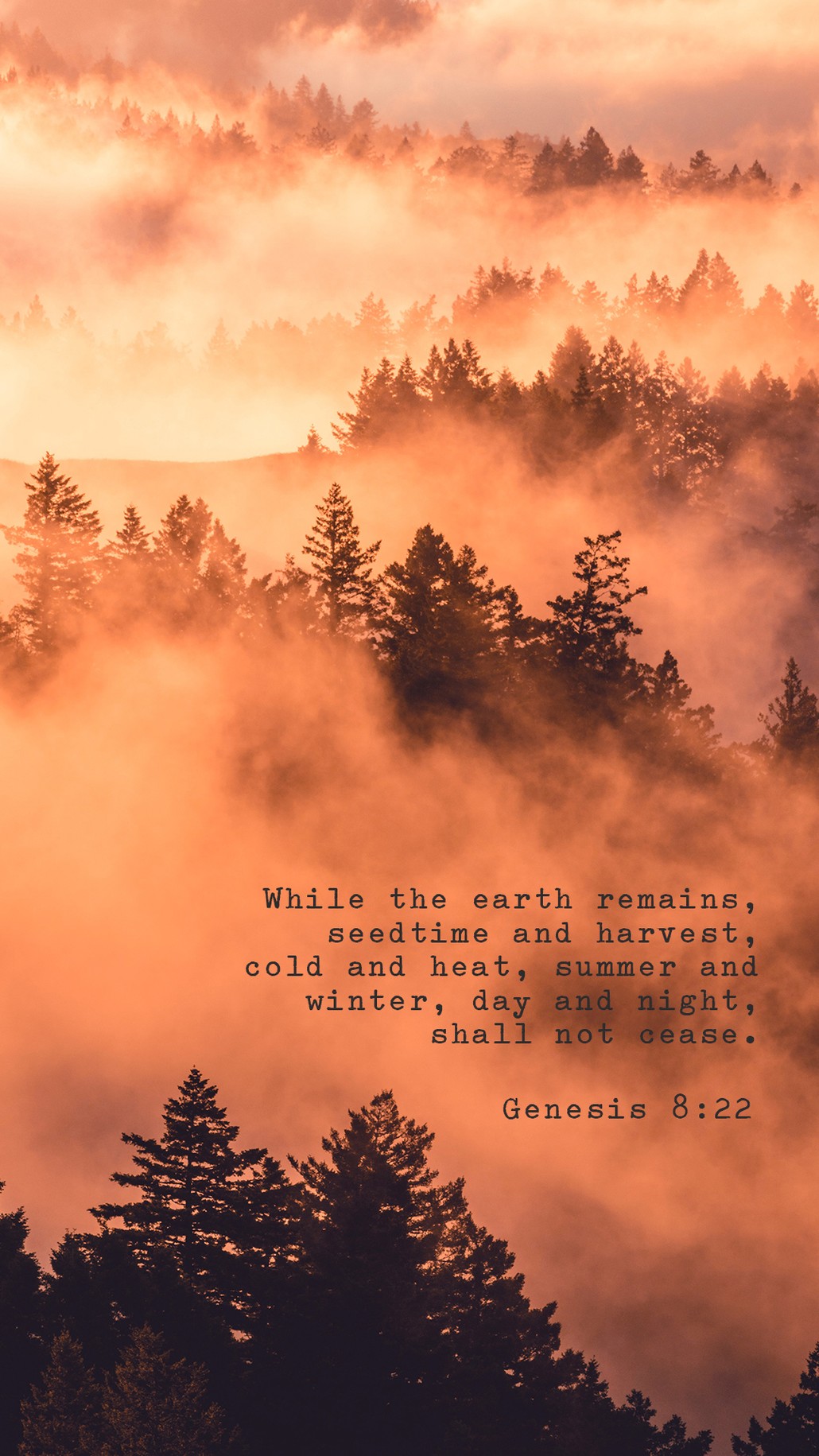 Bible Verses for the Autumn Season