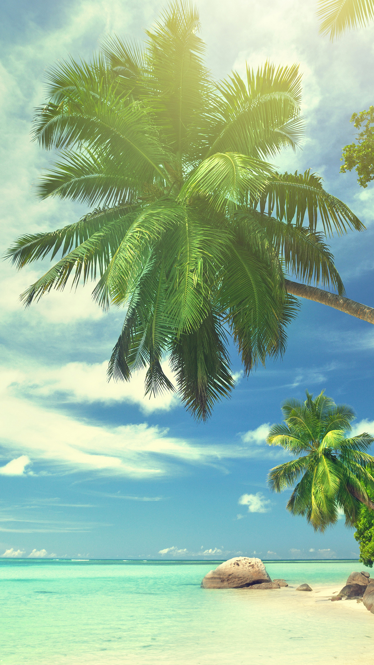 Summer Tropical Paradise Wallpaper for iPhone Pro Max, X, 6