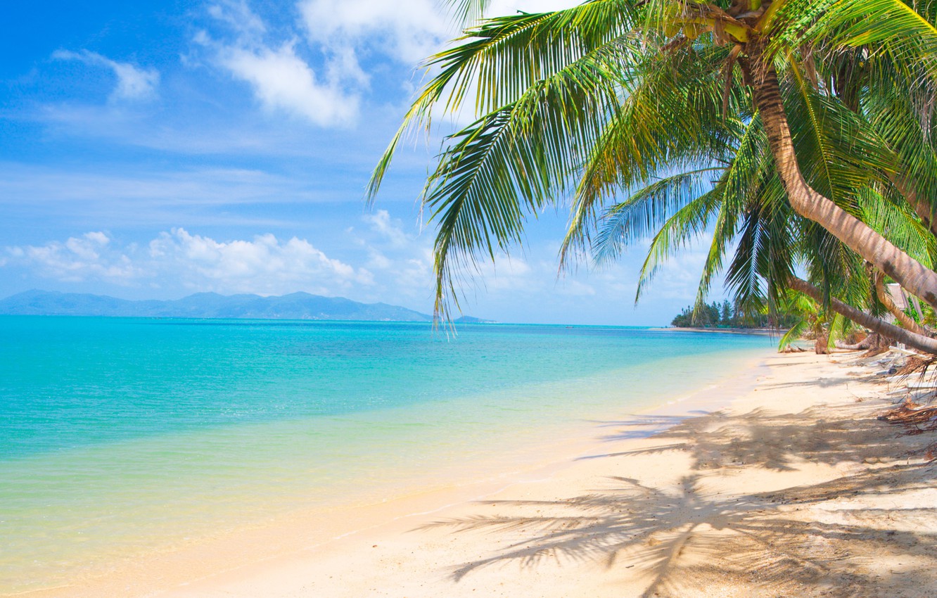 Wallpaper sand, sea, beach, the sun, palm trees, shore, summer, beach, sea, island, sand, paradise, palms, tropical image for desktop, section природа