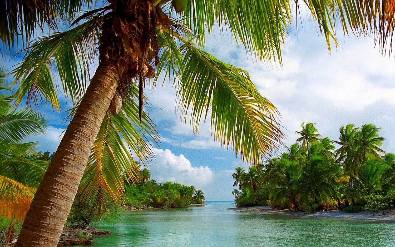 beach, Tropical, Summer, Sea, Nature, Island, Palm Trees, Landscape, Clouds, French Polynesia, Vacations Wallpaper HD / Desktop and Mobile Background