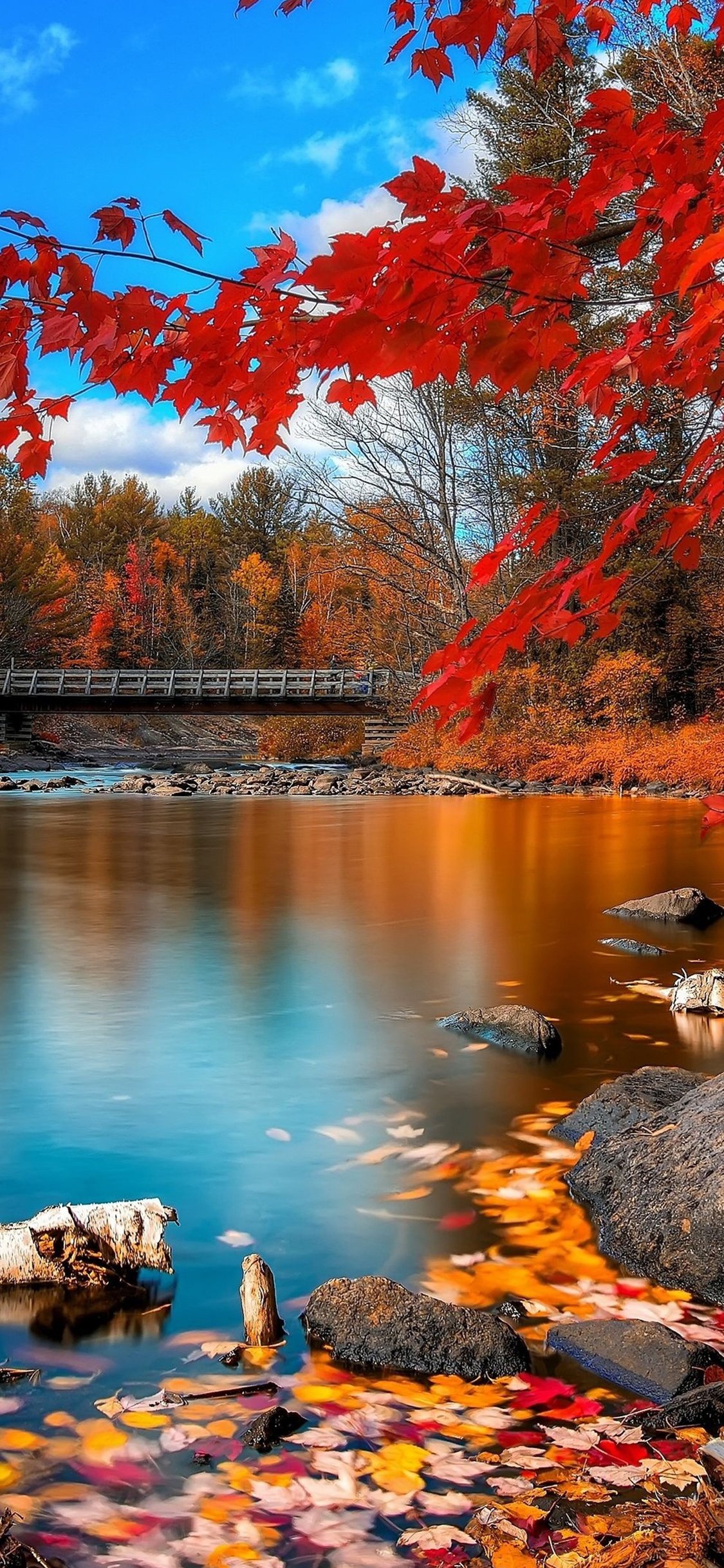 Autumn iPhone 7 Wallpapers Wallpaper Cave