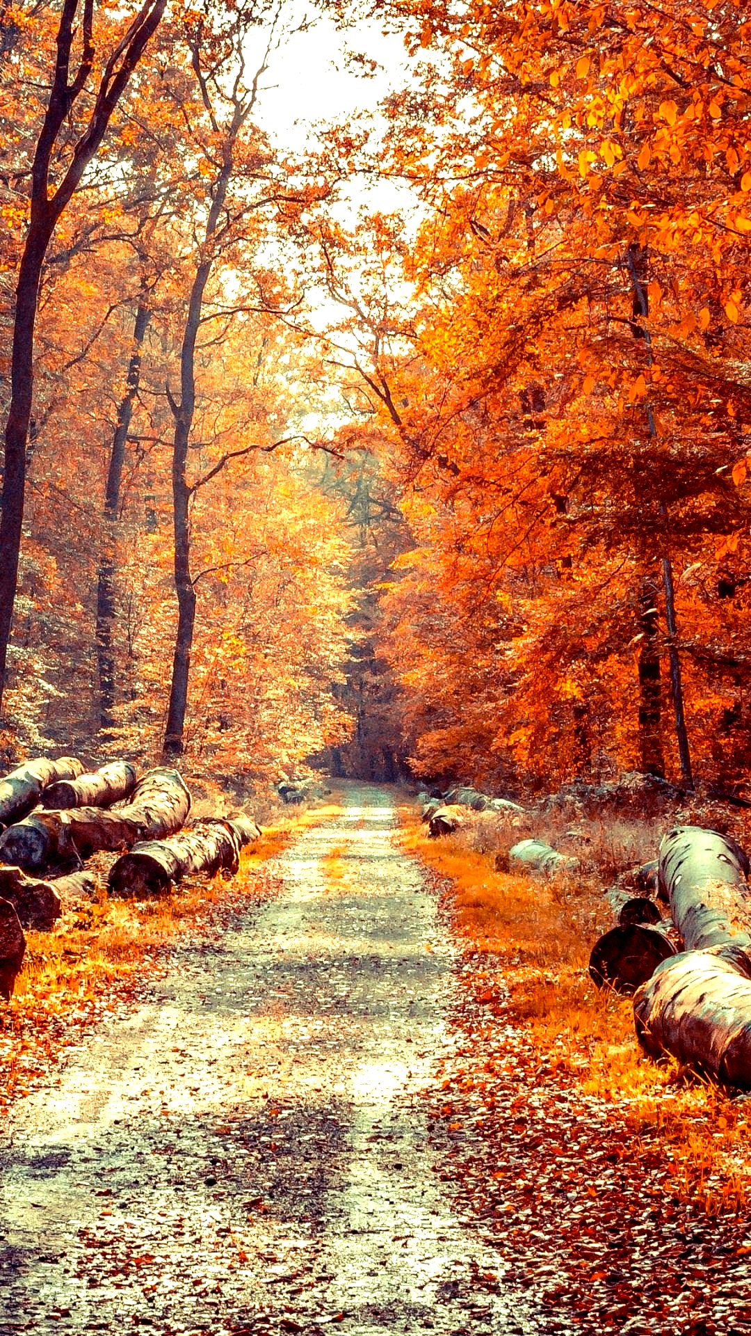 October iPhone 7 Wallpaper HD Phone Wallpaper HD