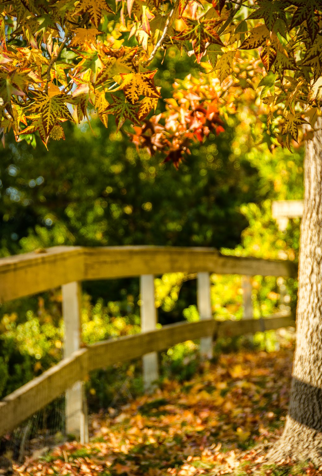 Some Autumn Themed Parallax Wallpaper Madness for your iOS 7 iThings