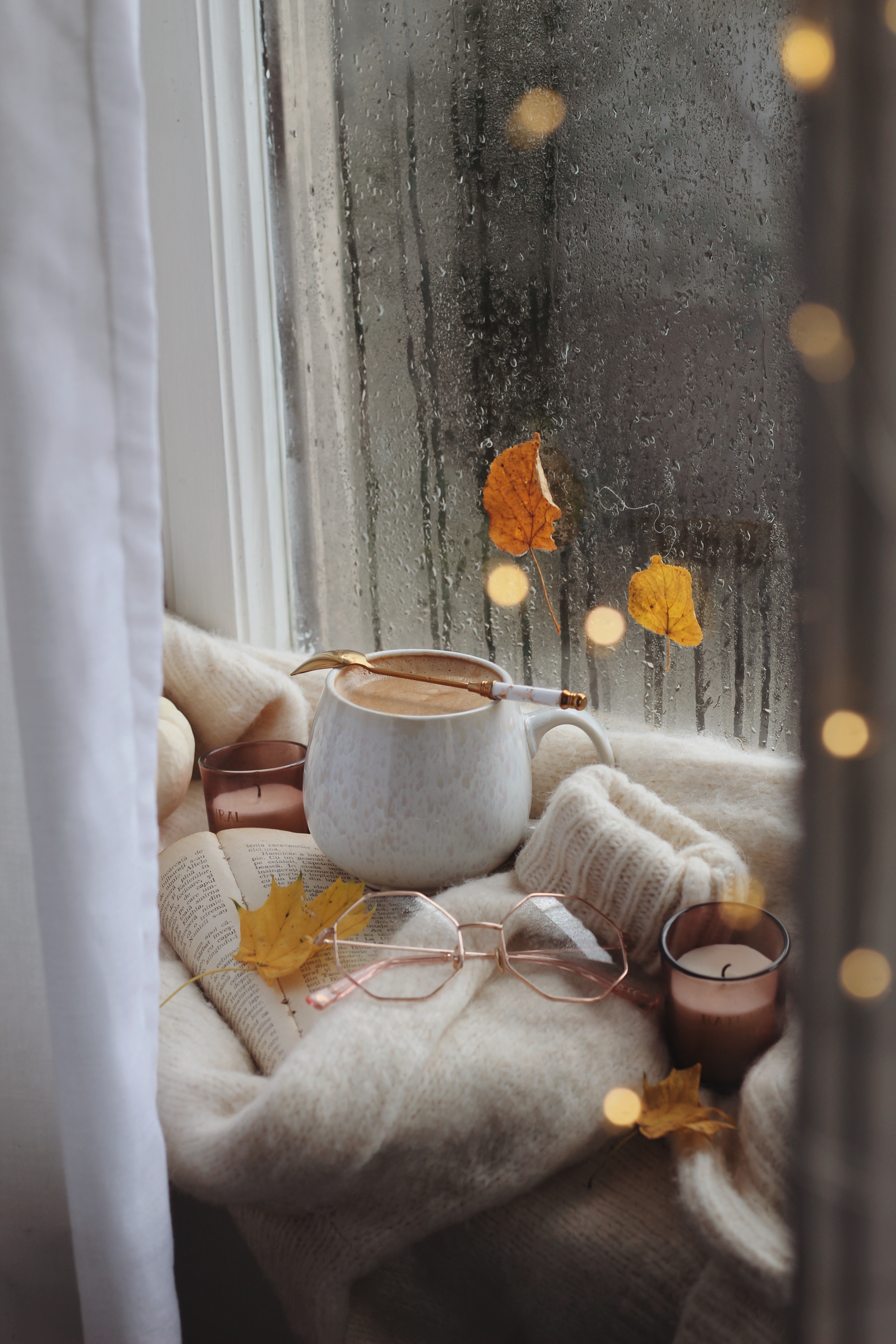 Coffee, glasses and sweater on book in autumn scene · Free