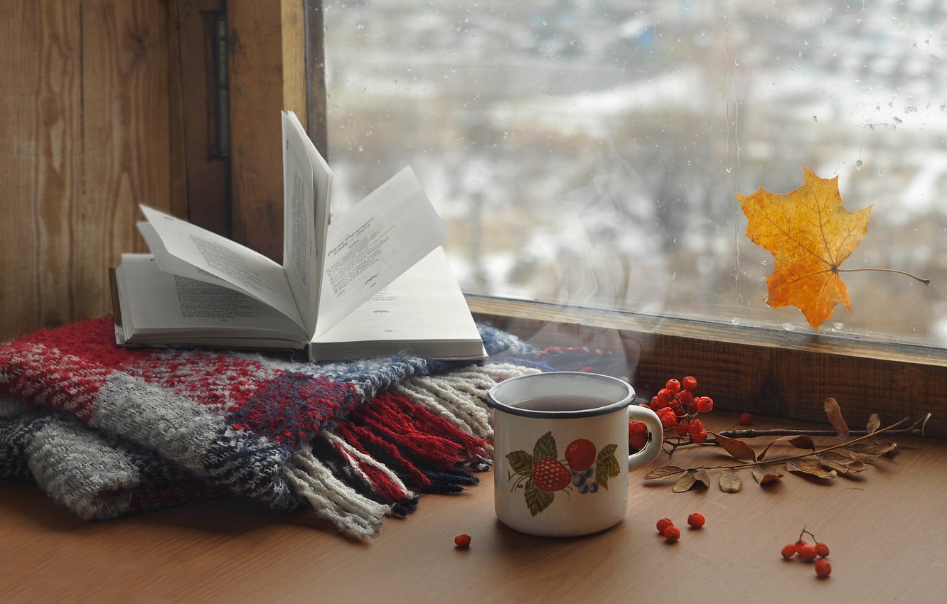 Wallpaper glass, drops, sheet, tea, scarf, window, couples, mug, book image for desktop, section настроения
