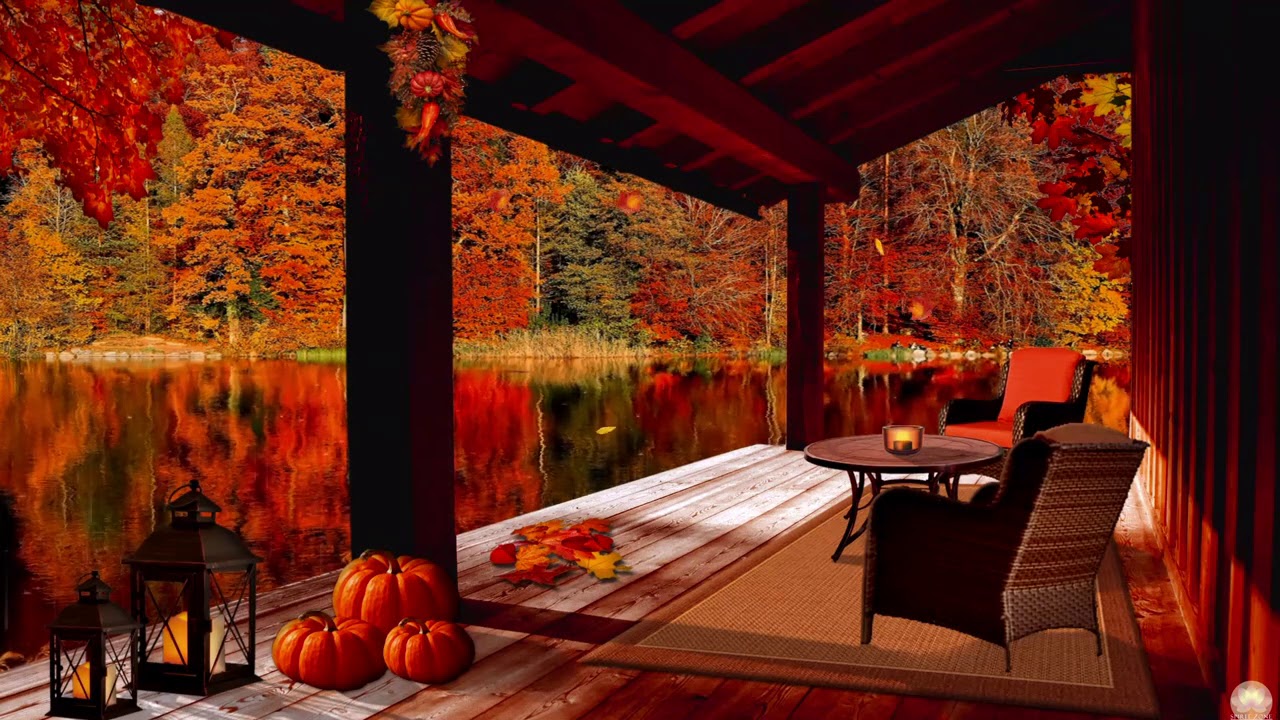 Cozy Autumn Porch Ambience Autumn Rain Sounds on Cabin Porch. study, sleep & relax