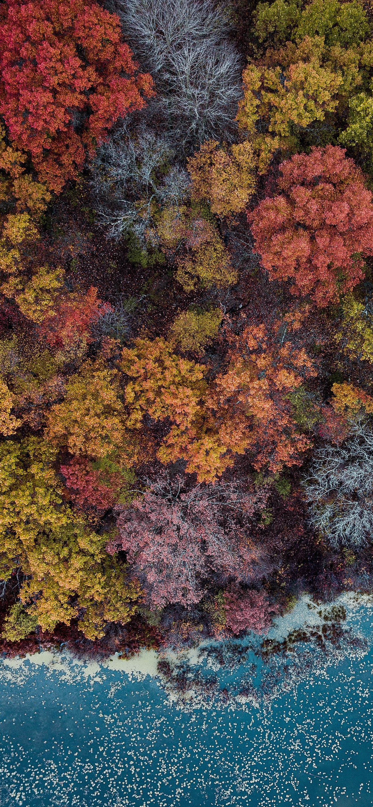 Colorful autumn iPhone wallpaper pack