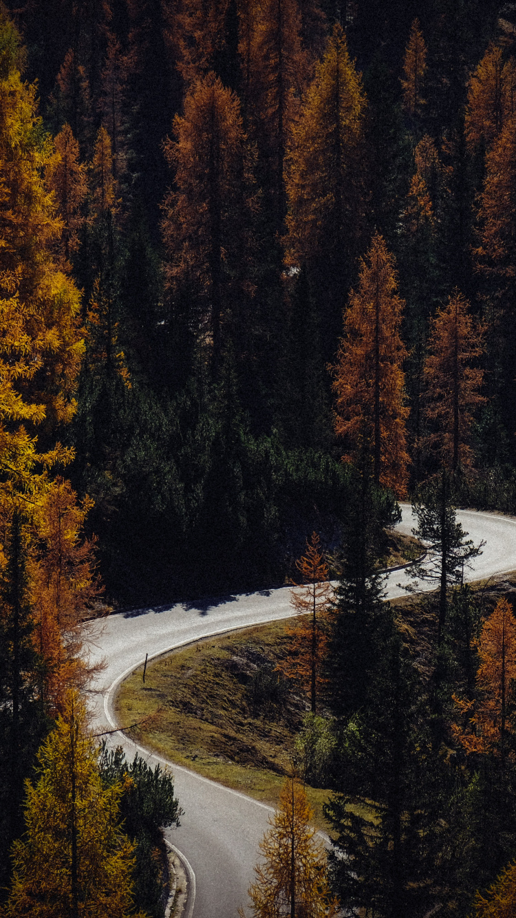 Download Autumn, road, turns, forest, nature wallpaper, 750x iphone iPhone 8