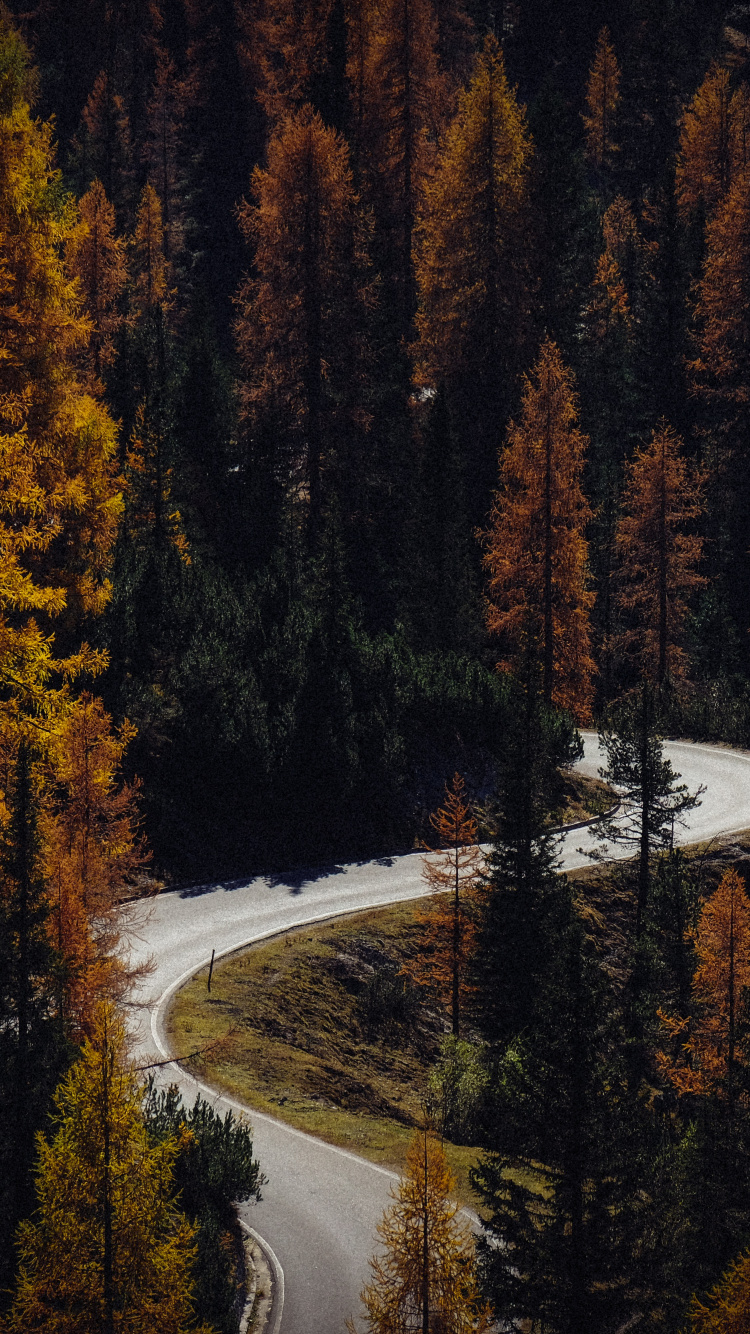 Download Autumn, road, turns, forest, nature wallpaper, 750x1334, iphone 7, iPhone 8