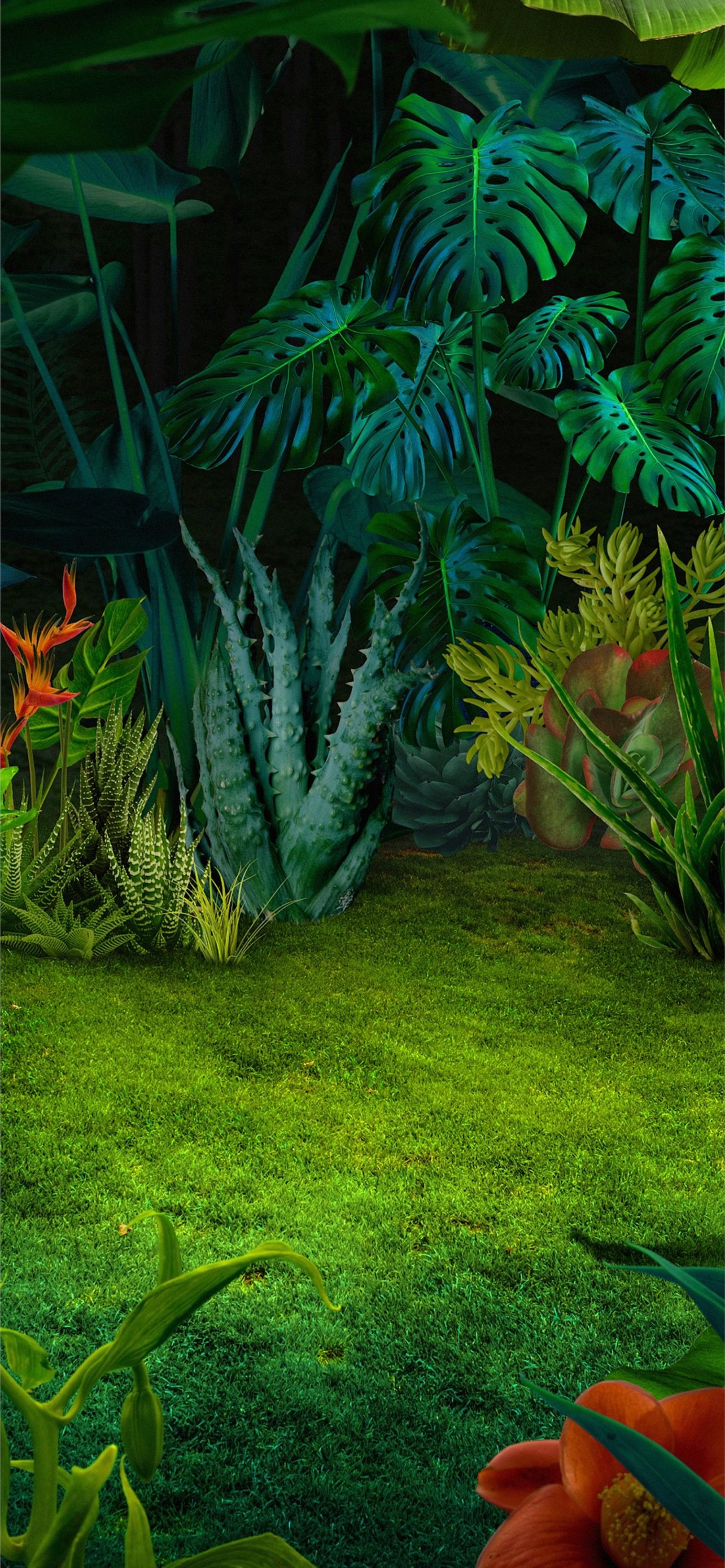 Best Oppo reno z iPhone HD Wallpaper