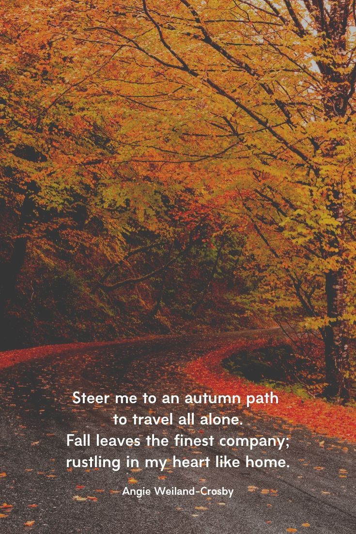 Autumn Quotes & Fall Quotes and Captions to Enchant and Deepen the Soul! [Updated for 2021]. Autumn quotes, Autumn scenery, Fall picture