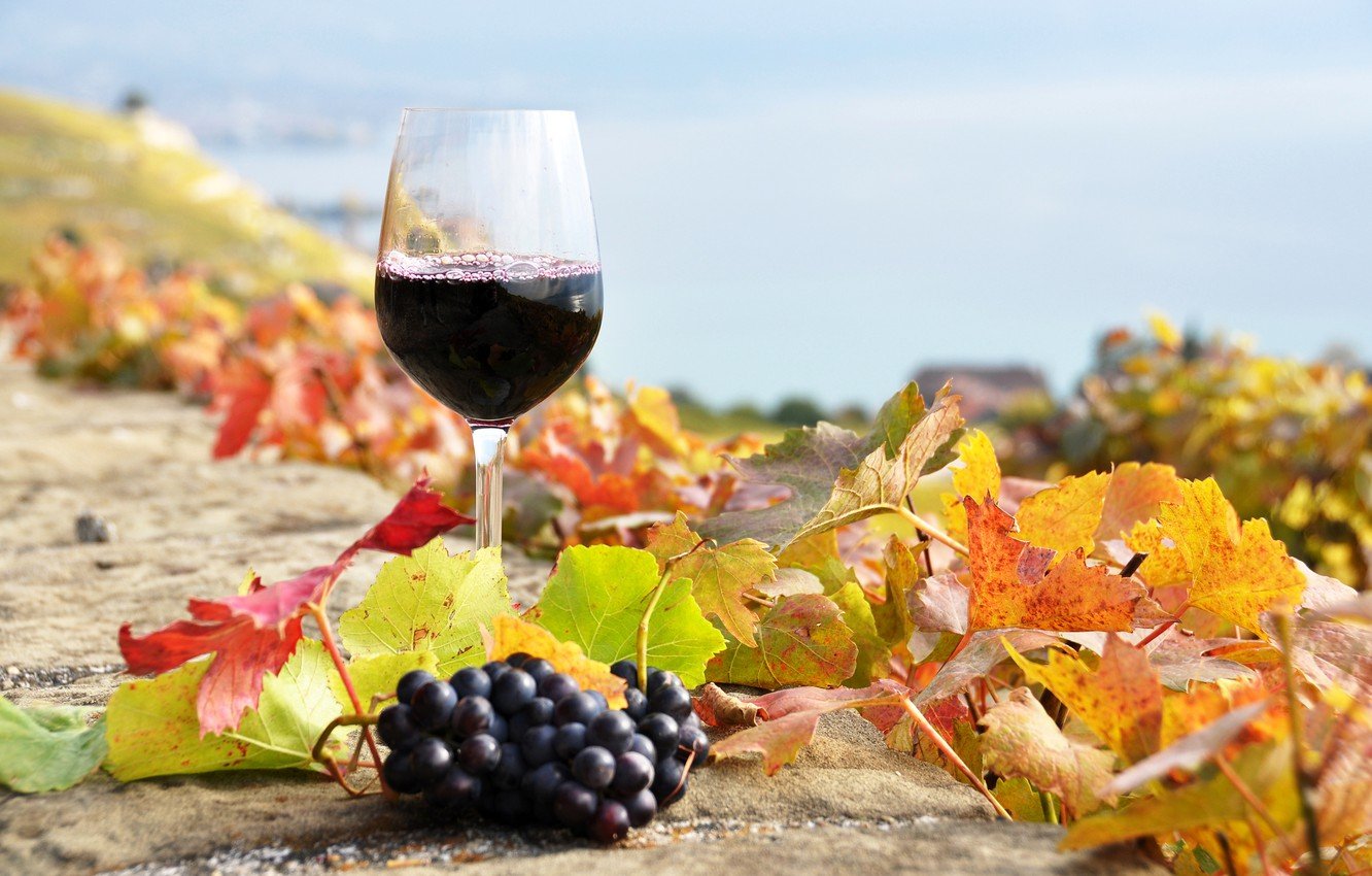 Autumn Wine Wallpapers - Wallpaper Cave