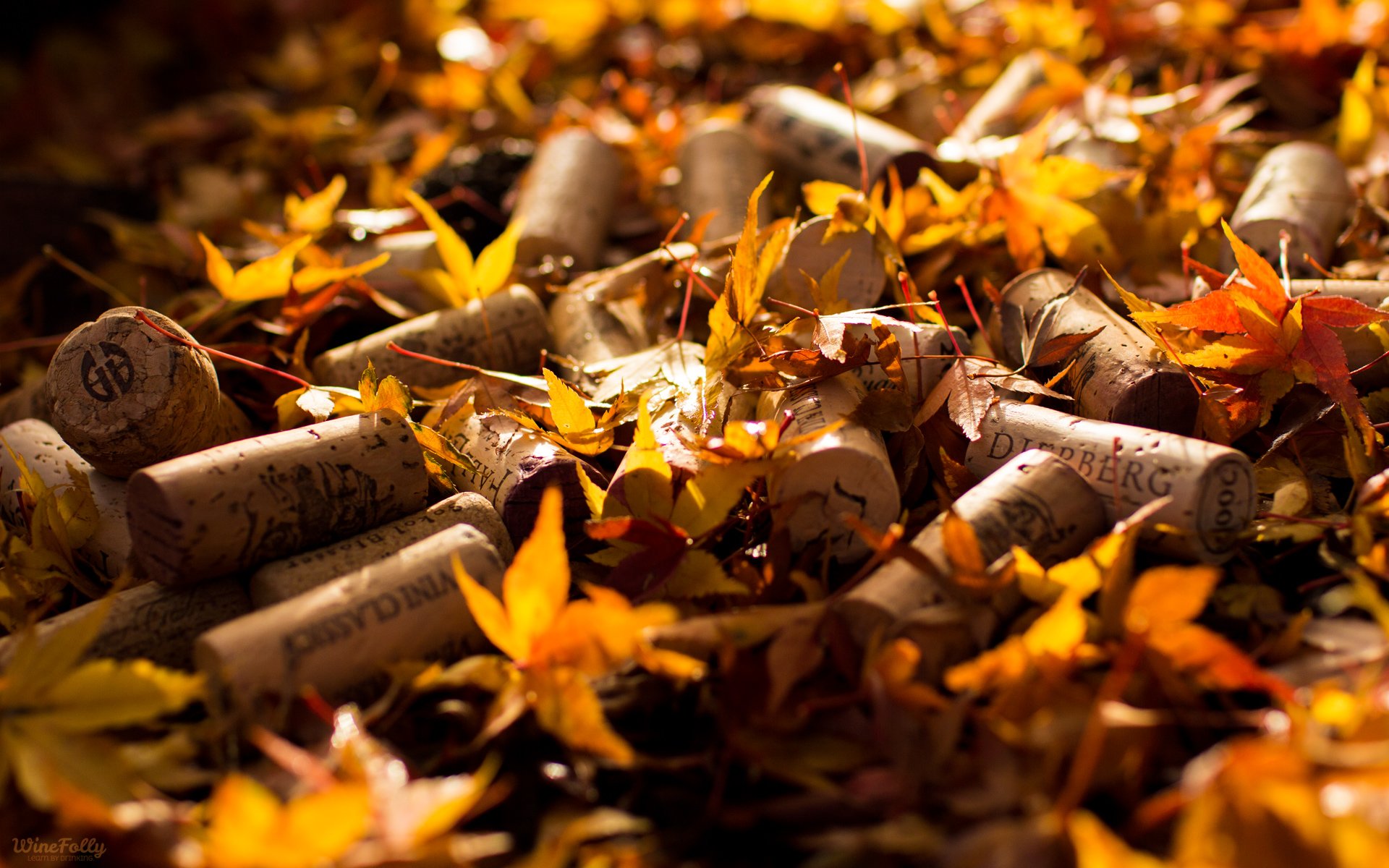 Autumn Wine Wallpapers - Wallpaper Cave