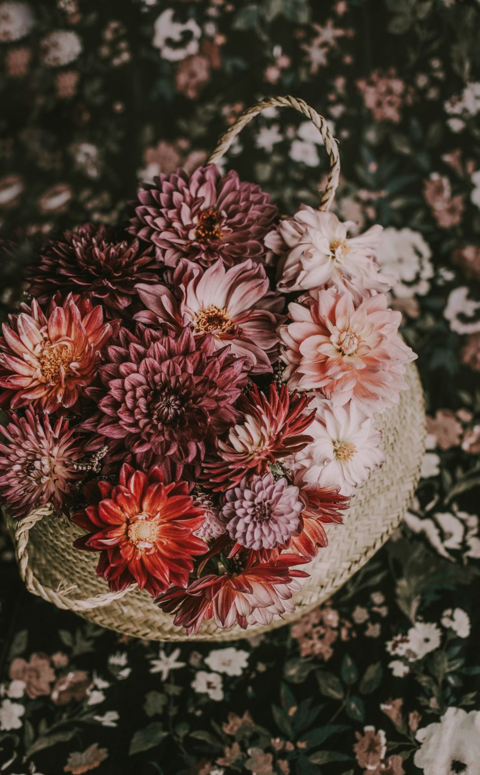 Flower basket, blossom wallpaper. Rode bloemen, Bloemen, Foto