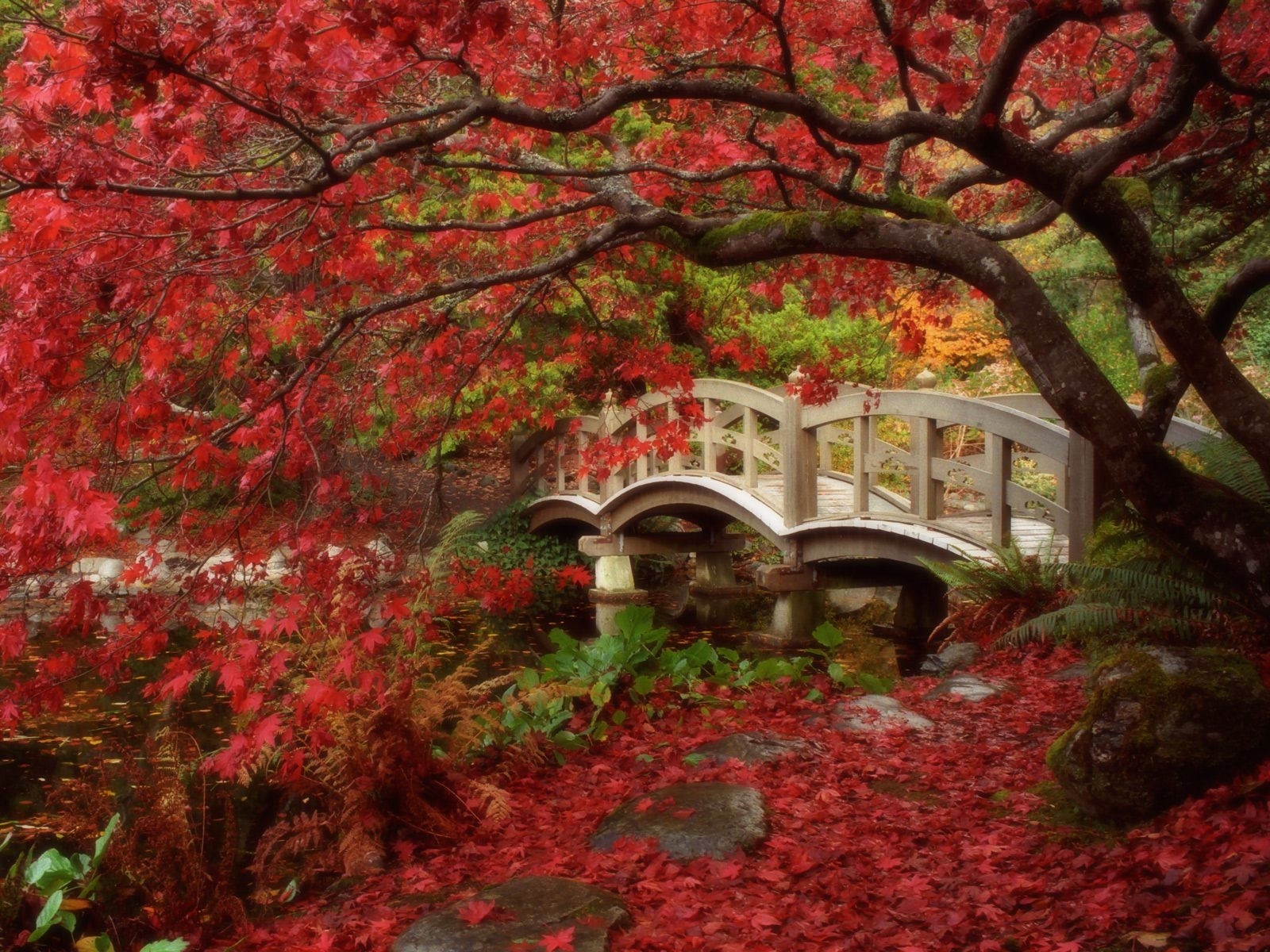 Mobile wallpaper: Landscape, Bridges, Trees, Autumn, 7368 download the picture for free