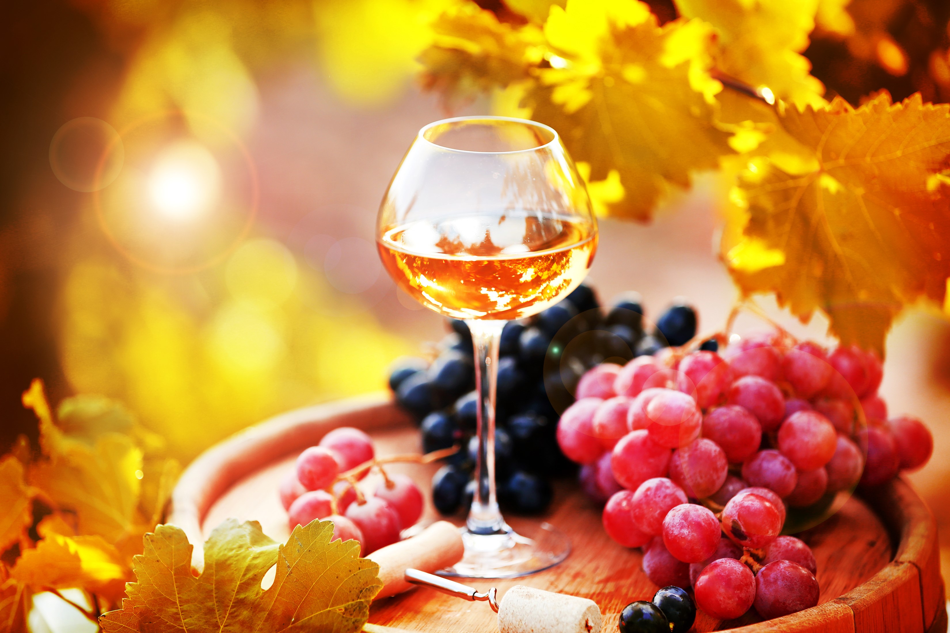 Autumn Wine Wallpapers - Wallpaper Cave