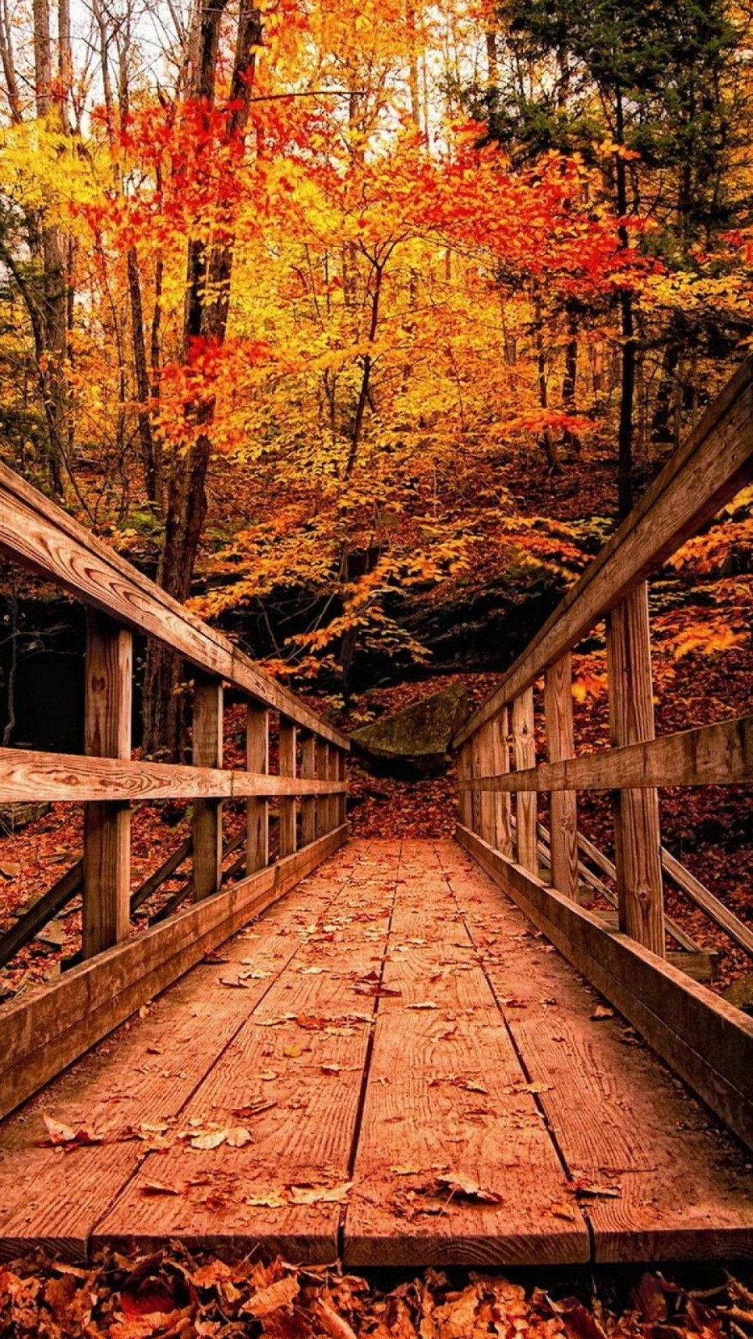 Download Wooden Bridge Red Trees Fall iPhone Wallpaper