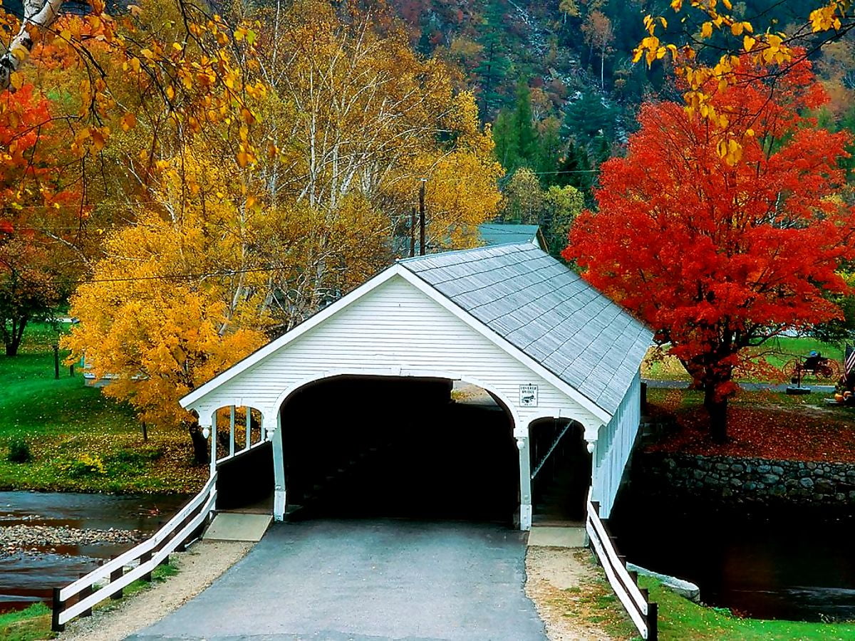 House, Nature, Autumn background image. FREE Best image